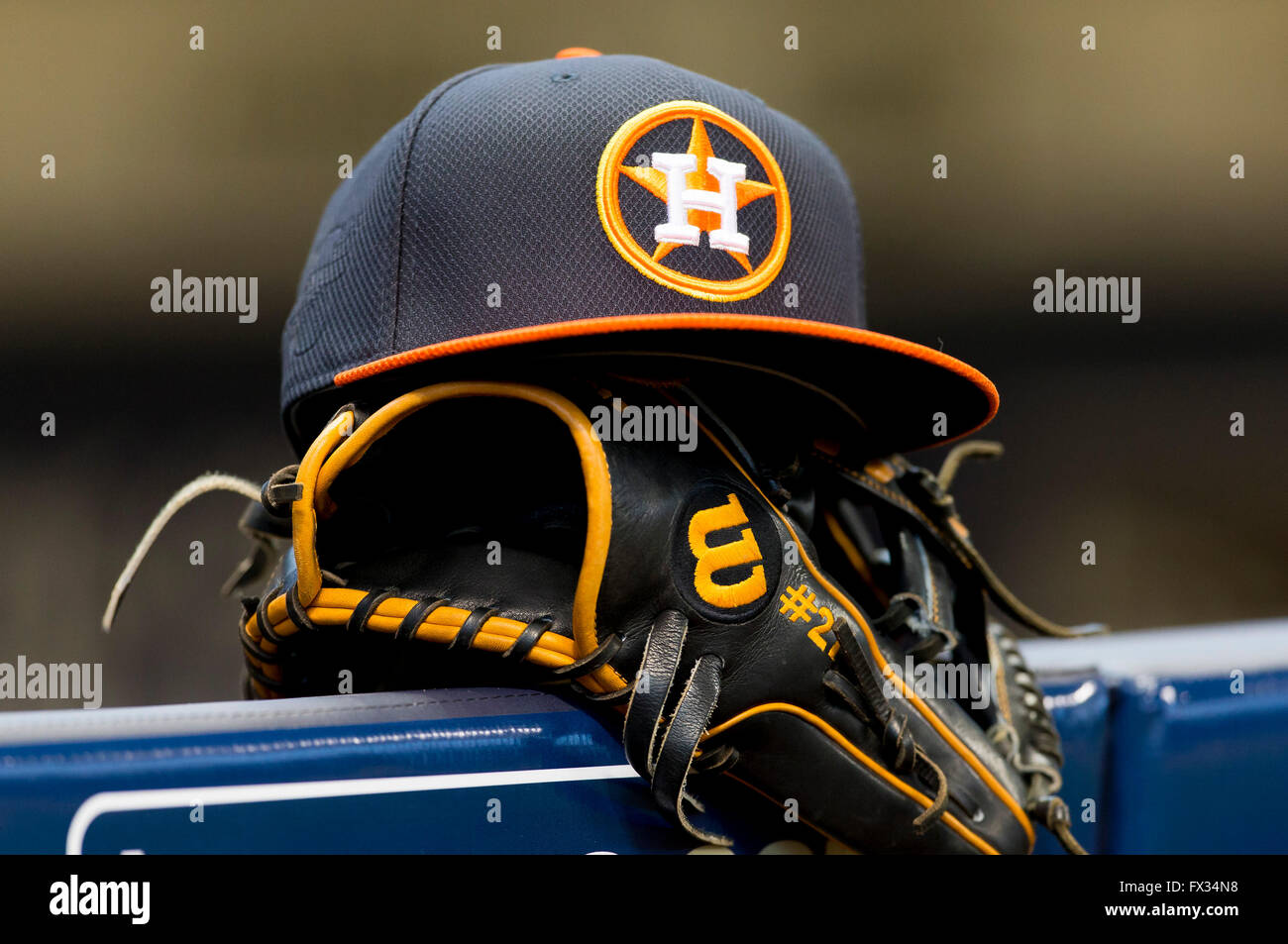 JOSE ALTUVE Houston Astros Fielding 8x10 Photo Matte Baseball Photograph