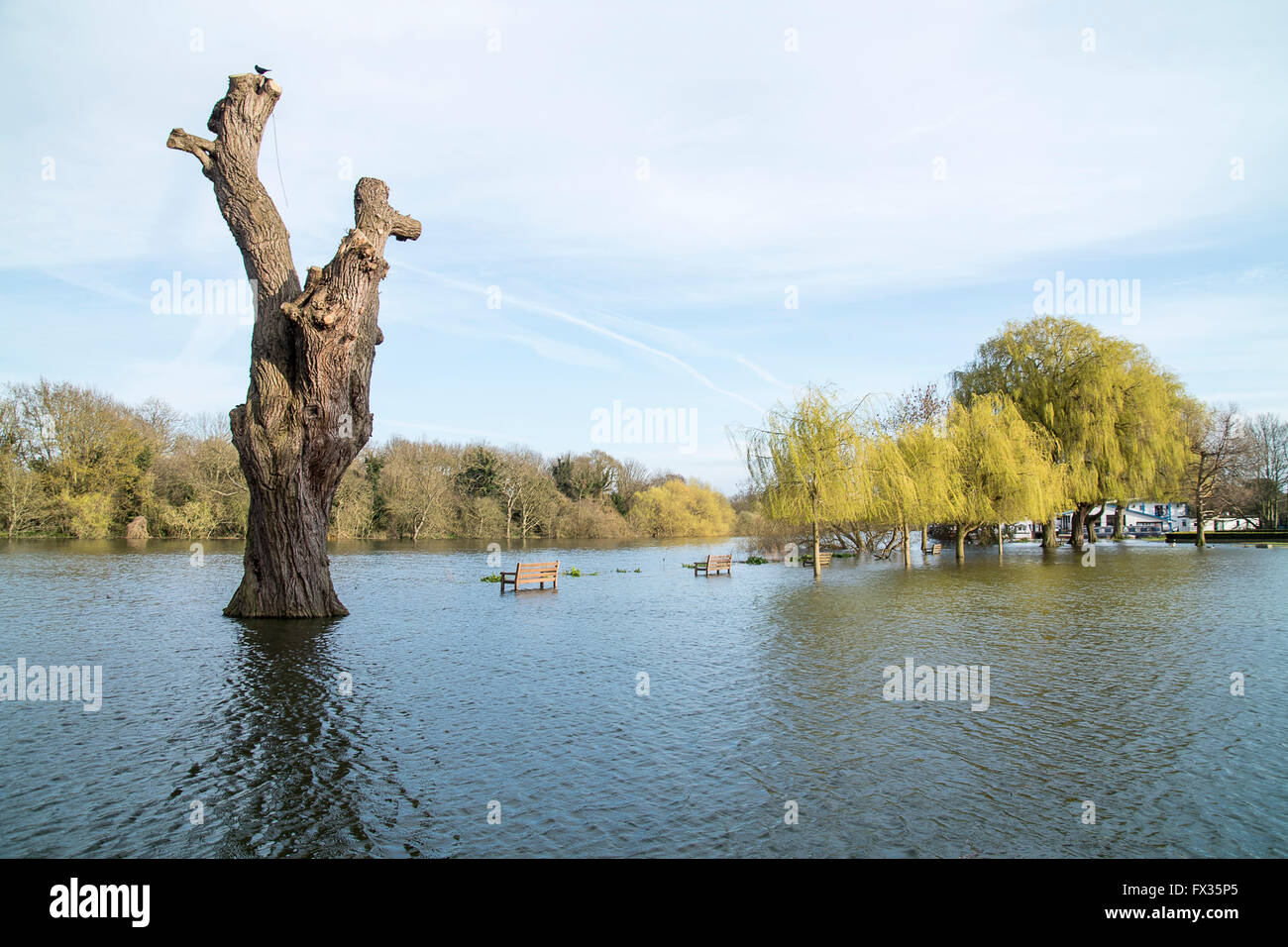 Radnor gardens hires stock photography and images Alamy