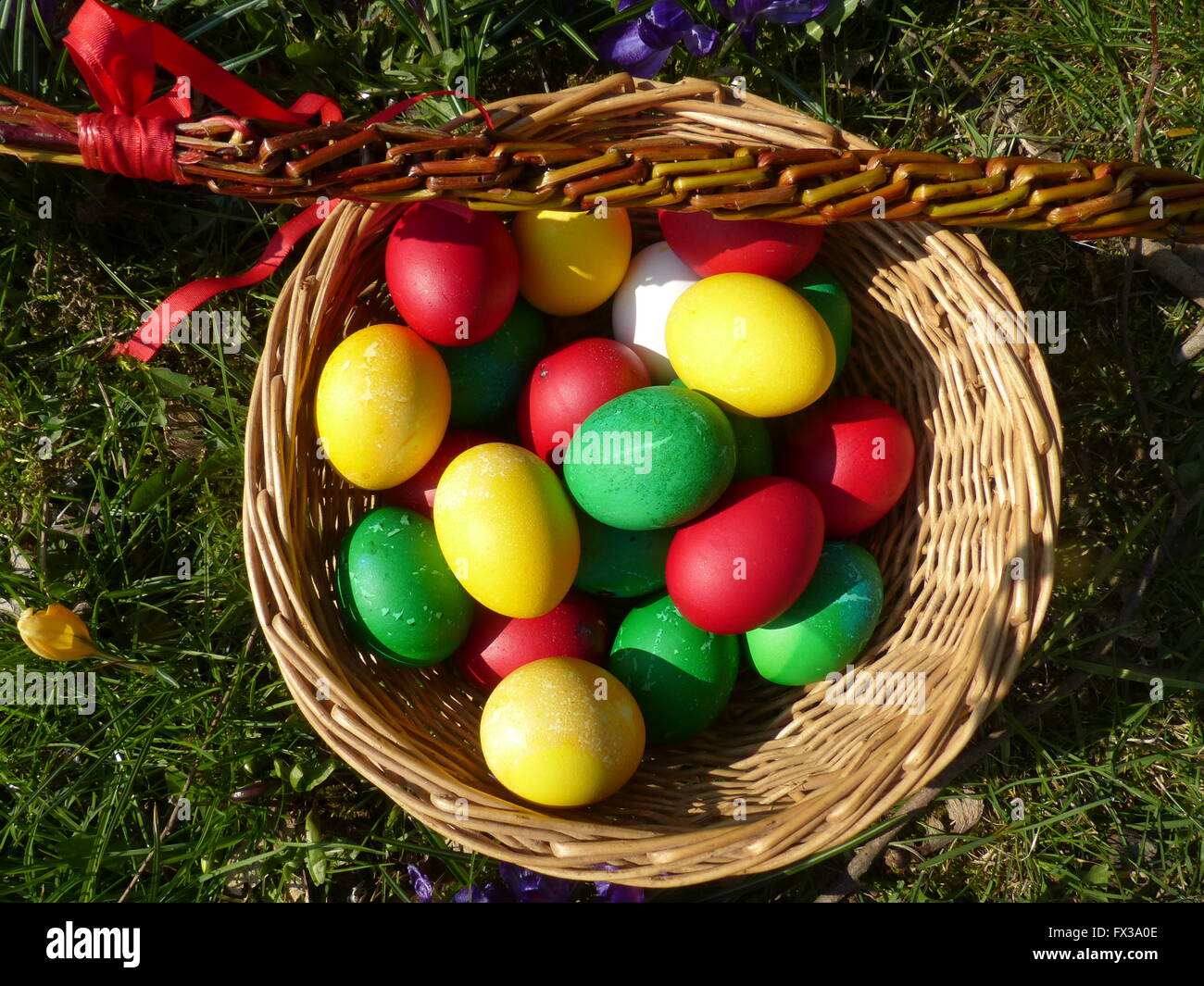 Colorful Easter eggs in basket with willow twigs whip Stock Photo