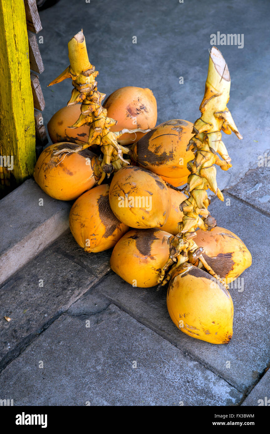 Vendor stand with red coconuts (aka King coconuts) for sale, Colombo