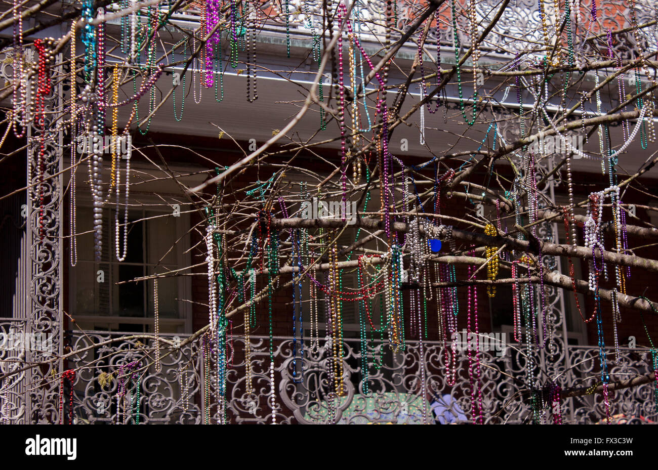 Mardi Gras beads draping branches in front of the Pontalba building in Jackson Square, New Orleans, LA, USA. Stock Photo