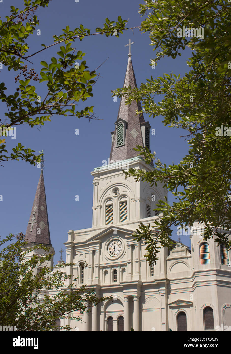 St. Lois cathedral framed by tree branches in early spring.  New Orleans, LA, USA. Stock Photo