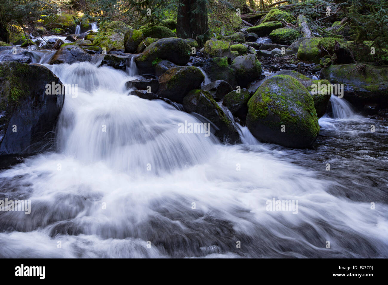 Water rushing over the rocks on its way to the waterfall at Multnomah Falls and eventually the Columbia River. Stock Photo