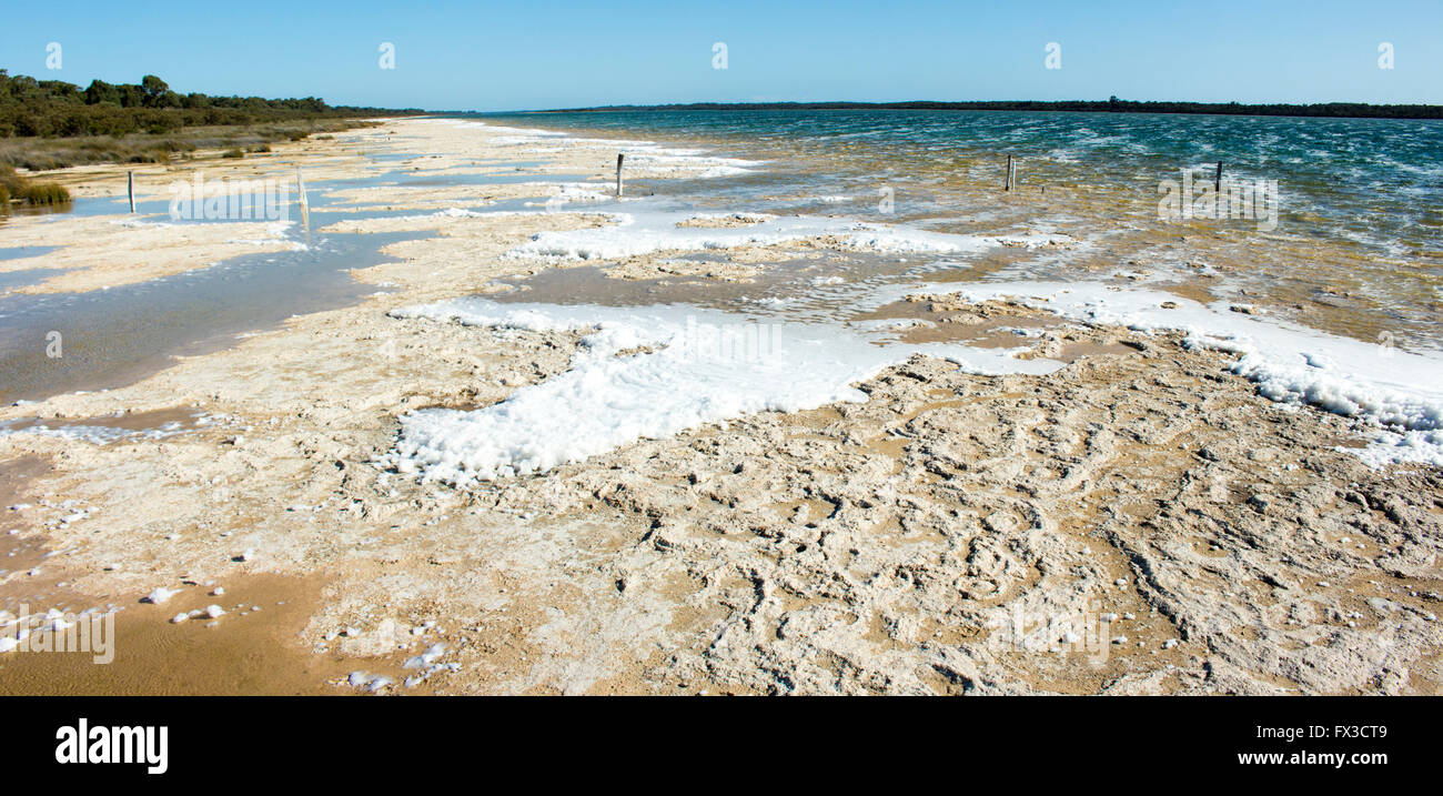 Cgallium Rocks Rare colony of 6 kilometre long thrombolite living rocks calcium ...