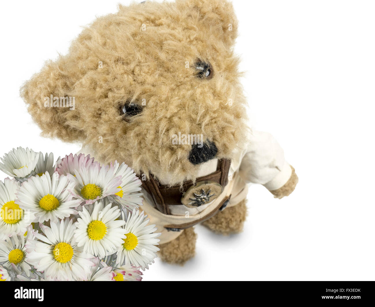 teddy presented flowers Stock Photo