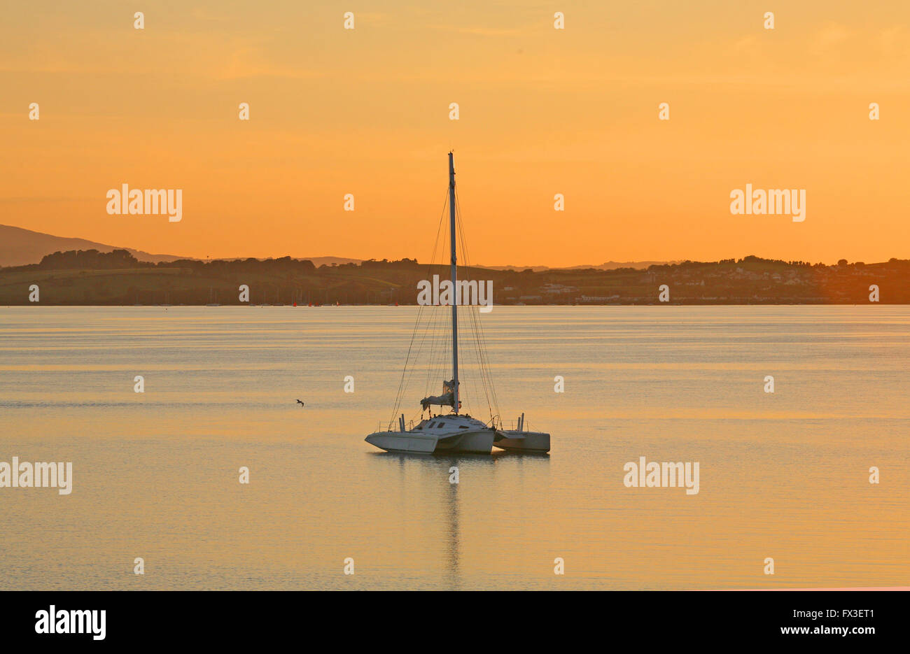 A trimaran lies at anchor, against a peaceful yellow sunset sky, near