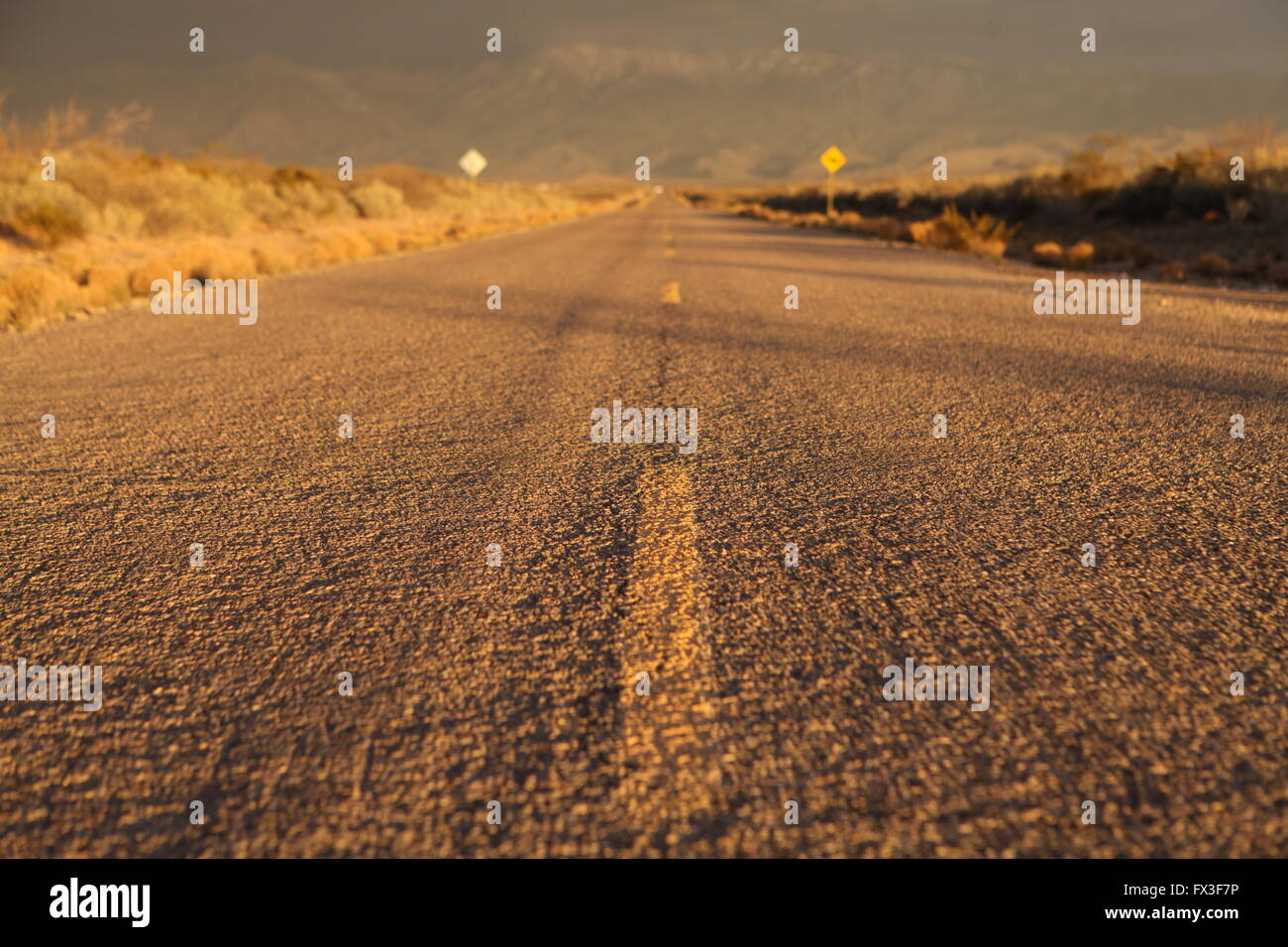 Road at sunset. Stock Photo