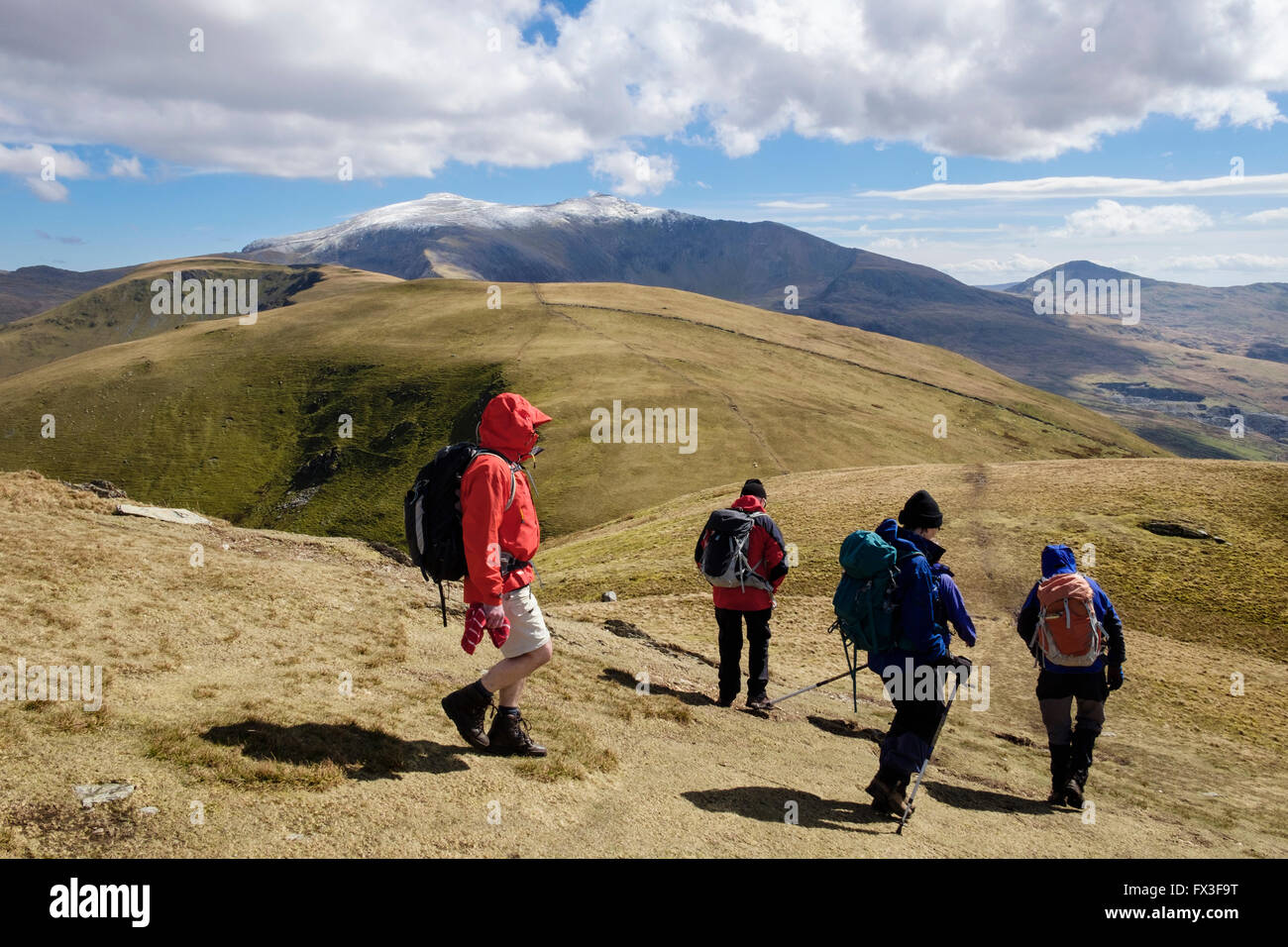 Hikers hiking down Foel Gron with distant view of snowcapped mount Snowdon in Snowdonia National Park (Eryri) mountains. North Wales UK Britain Stock Photo