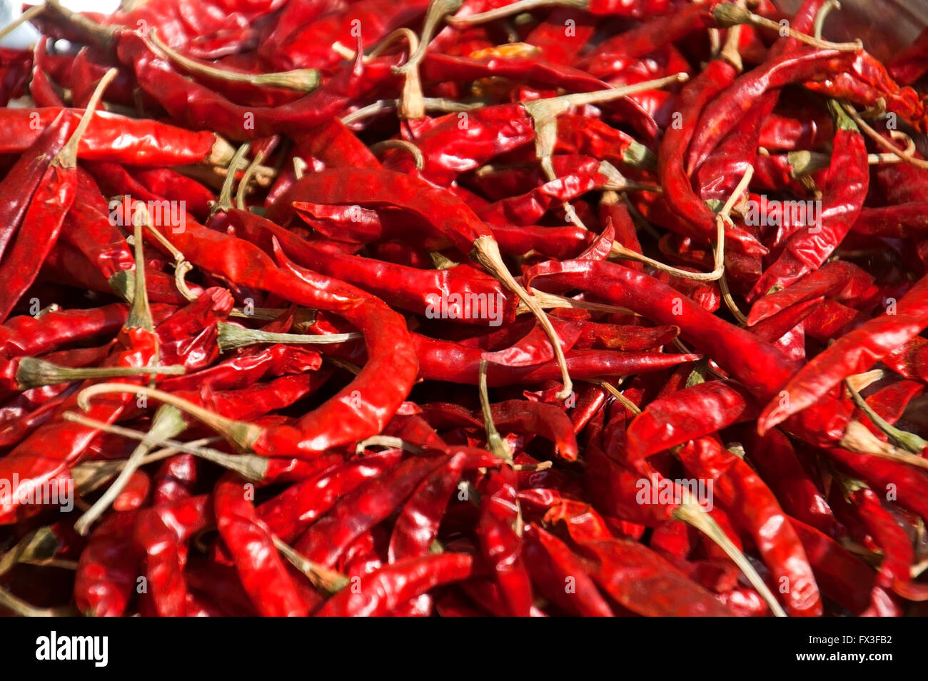 Dry Red Chilly Stock Photo