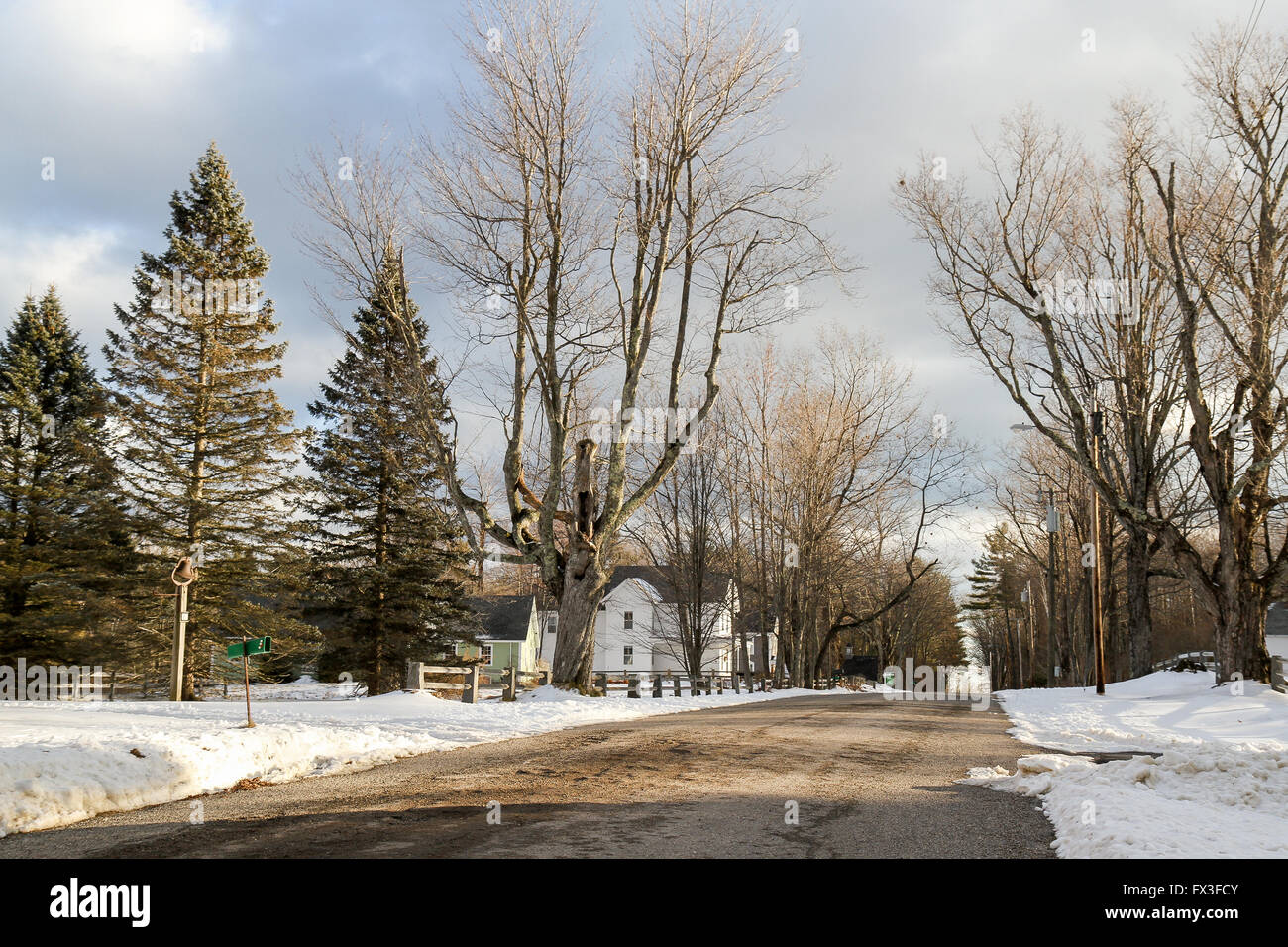 Looking down a residential street in the small town of Fitzwilliam, New
