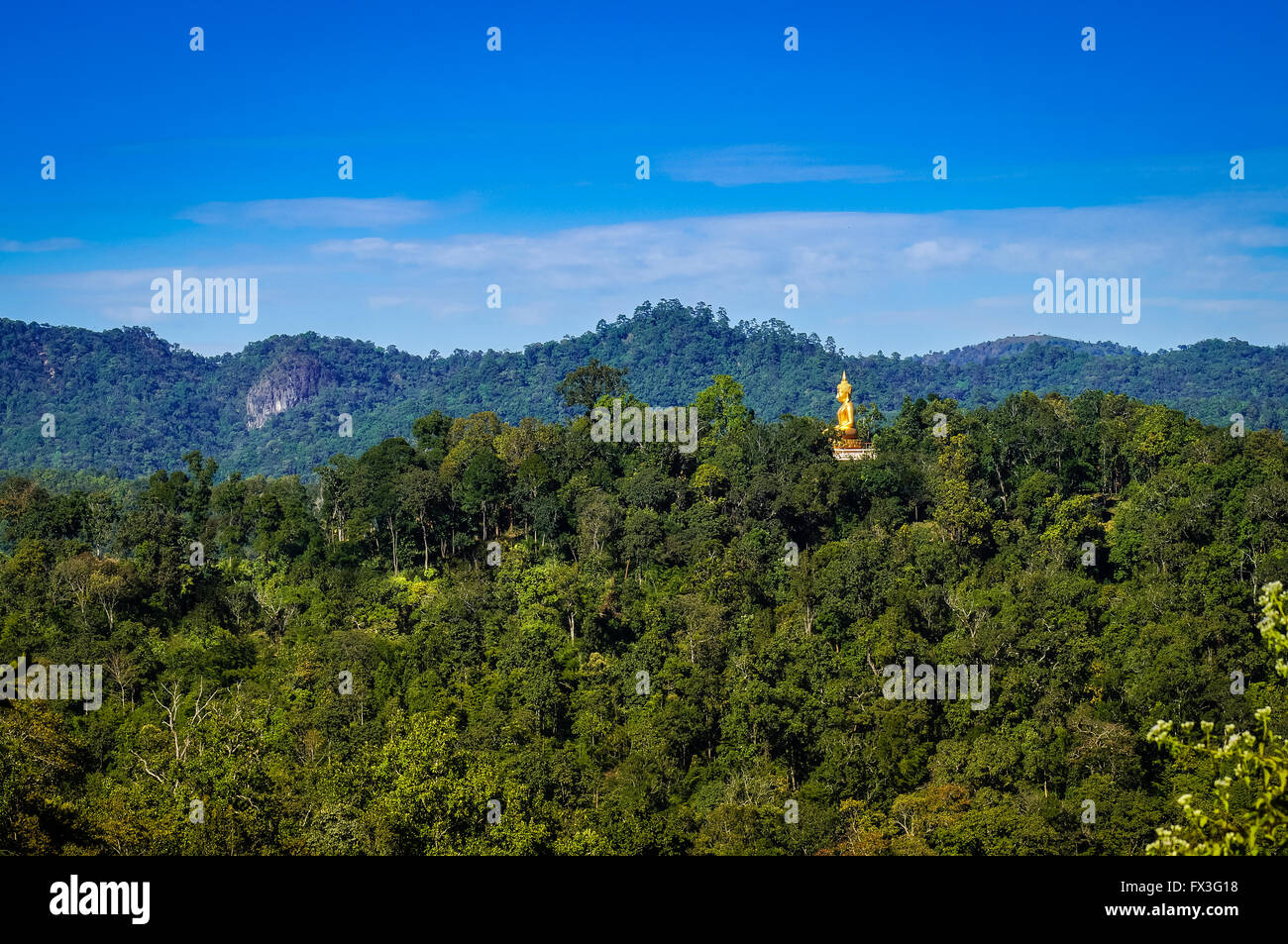 Buddha in the mountains in the middle of the nature in the woods full of green vegetation under a perfect bluish summer sky Stock Photo