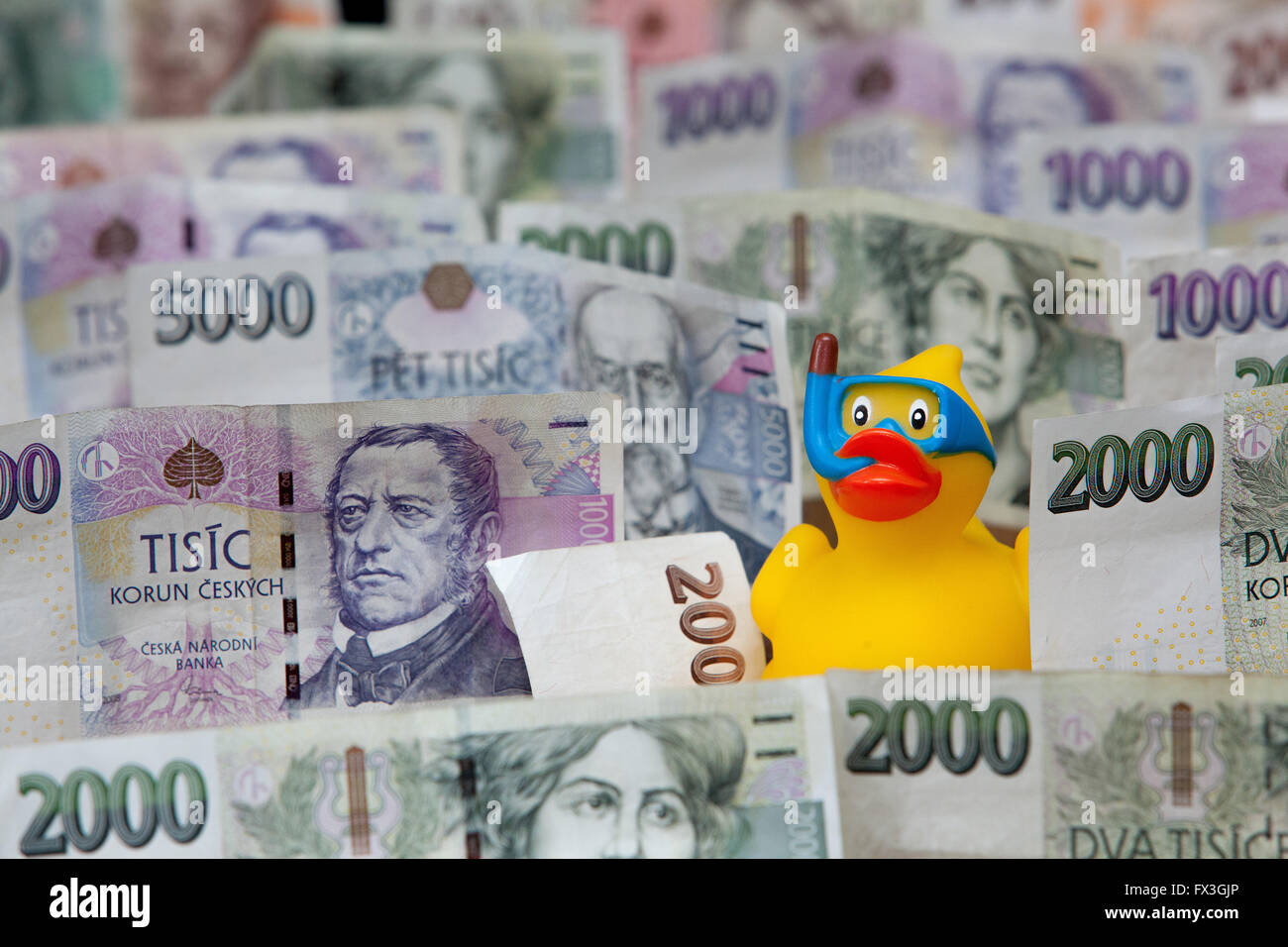 Czech paper money and a rubber duck in the goggles, snorkel Stock Photo