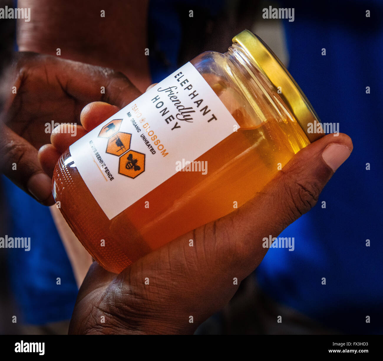 A man holds honey made from elephant beehive fence hives designed to deter crop raiding by elephants in Sagalla region of Kenya Stock Photo