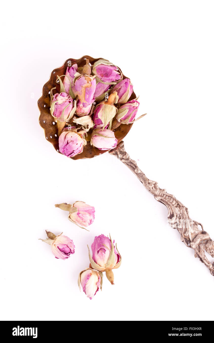 dried rose buds Stock Photo Alamy