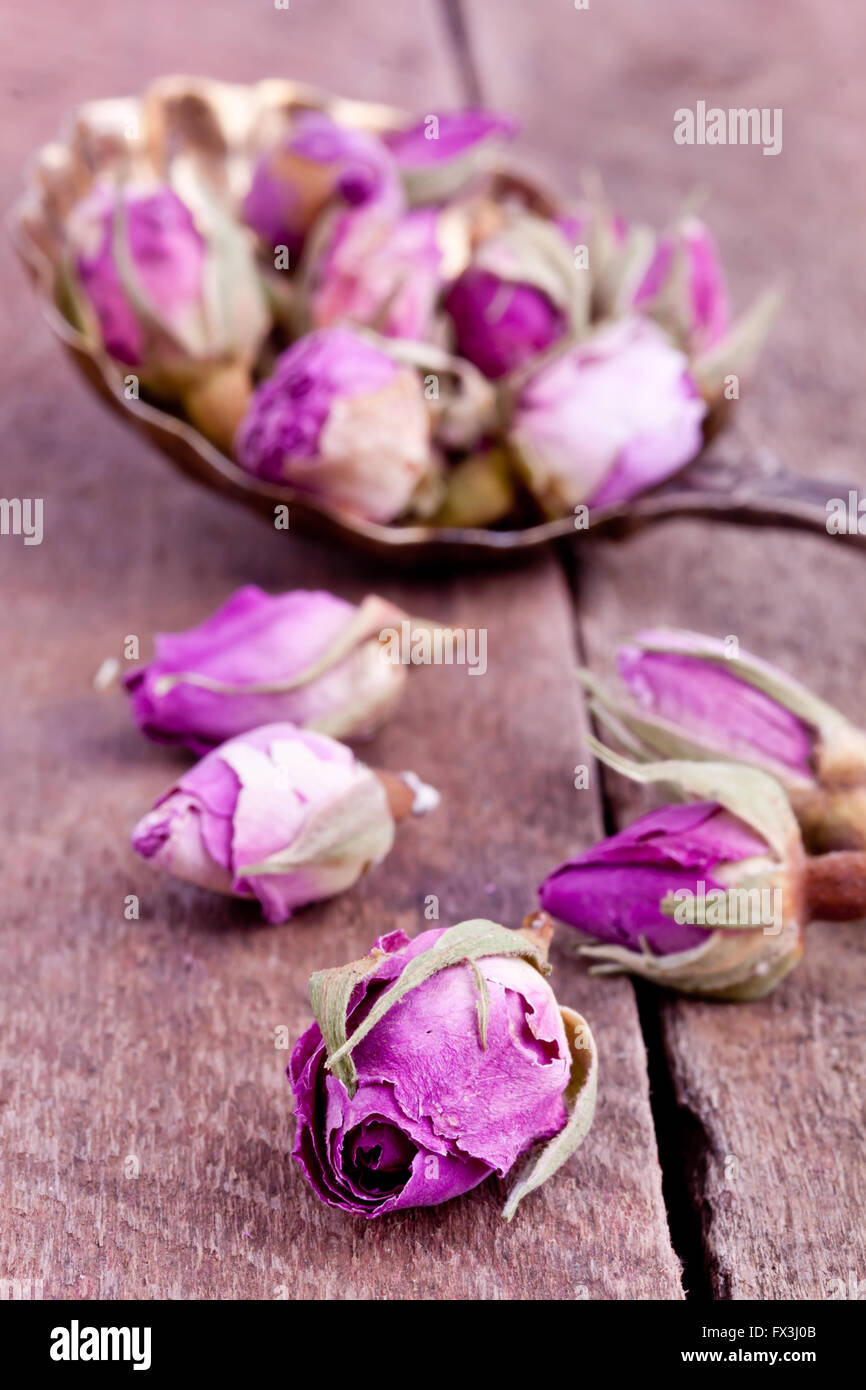 dried rose buds Stock Photo Alamy