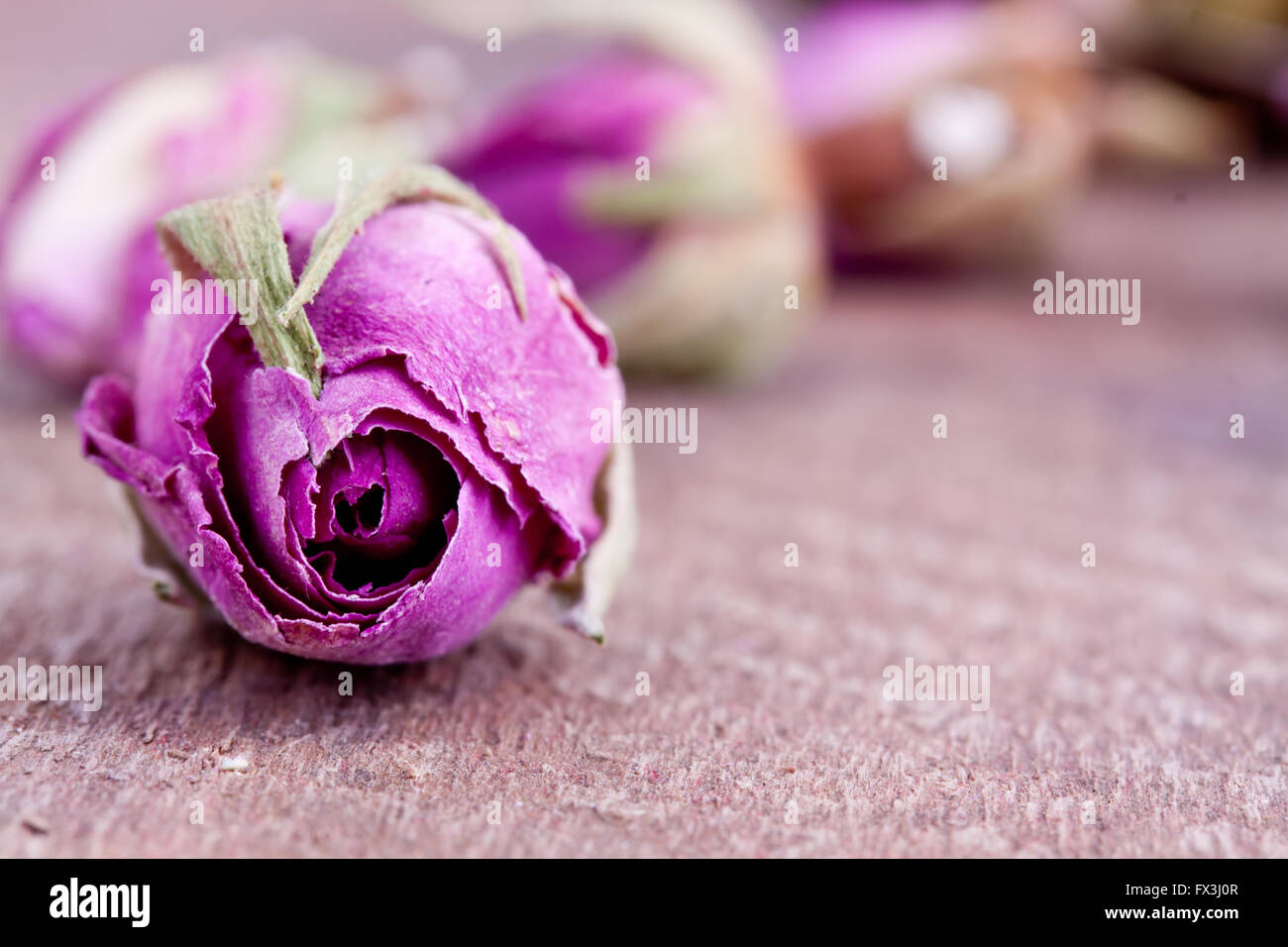 dried rose buds Stock Photo Alamy