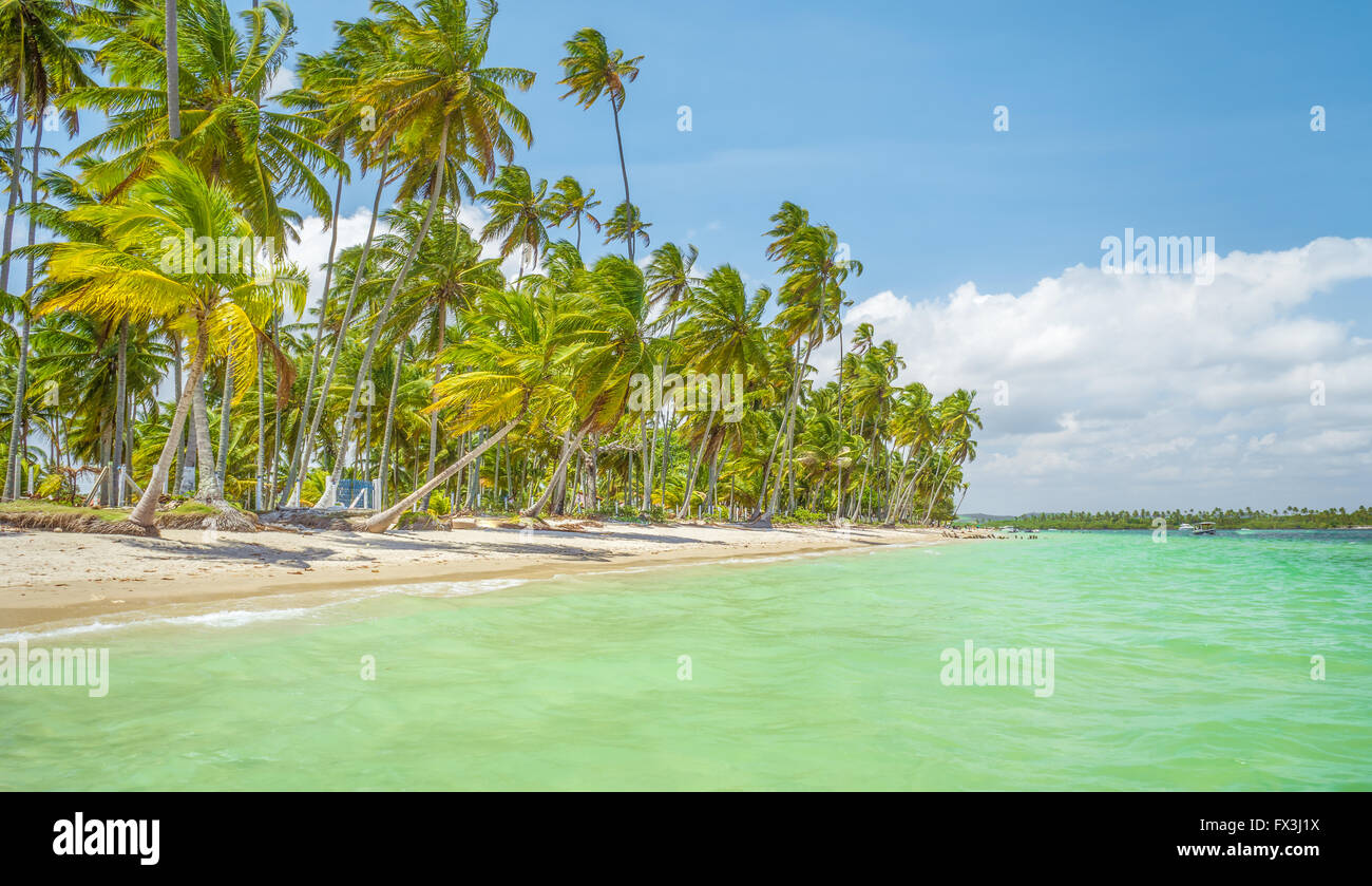 The Carneiros beach is located in Pernambuco, Brazil. It is located along a former coconut farm. Stock Photo