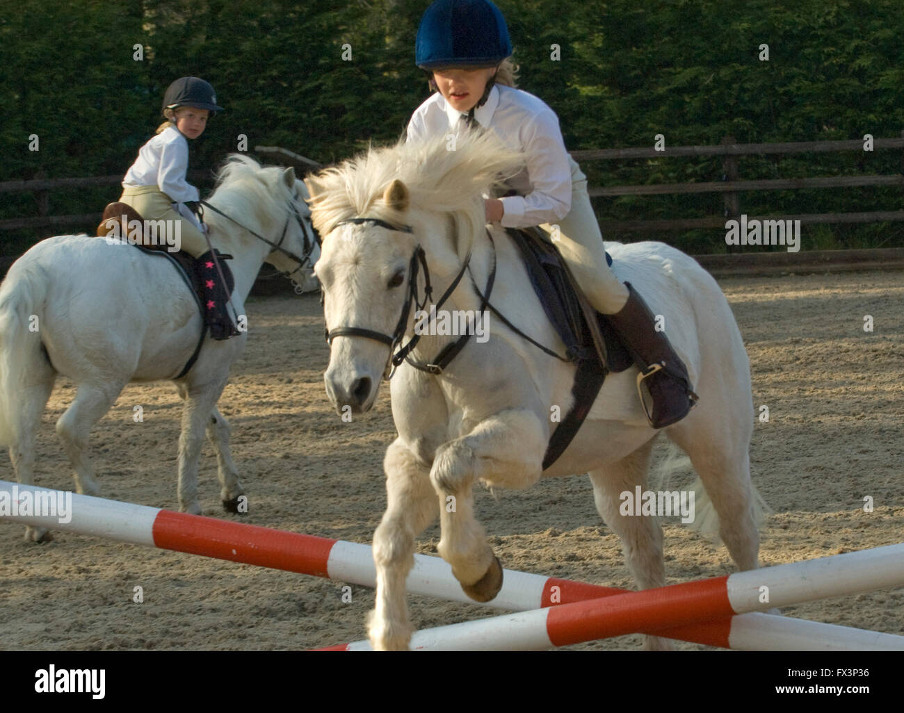 Pony Club meeting in Devonshire with help from olympic equestrian Mary King,where young girls practice show jumping and dressage. Stock Photo