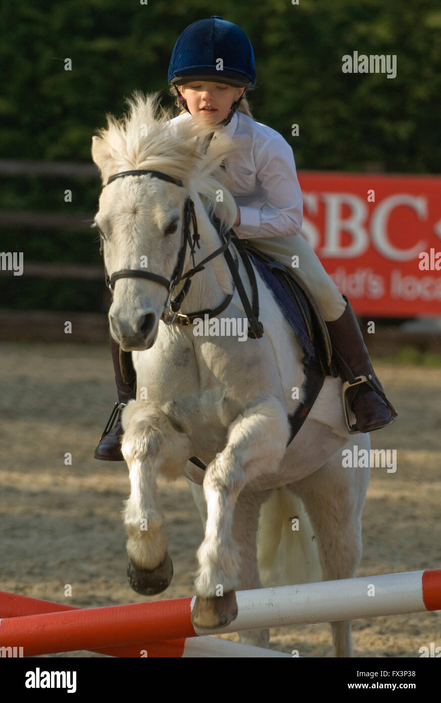 Pony Club meeting in Devonshire with help from olympic equestrian Mary King,where young girls practice show jumping and dressage. Stock Photo