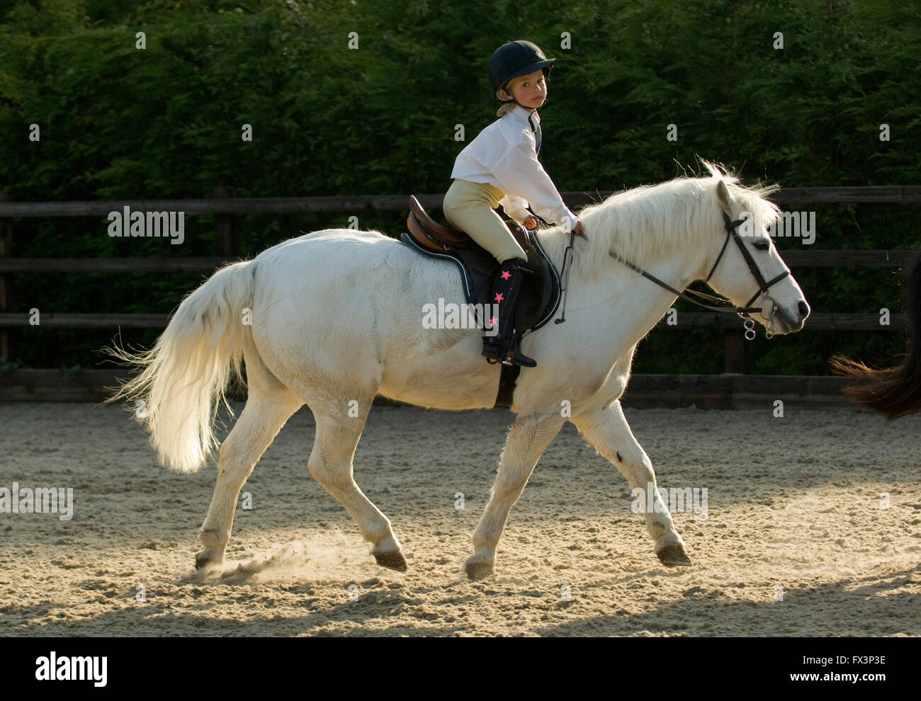 Pony Club meeting in Devonshire with help from olympic equestrian Mary