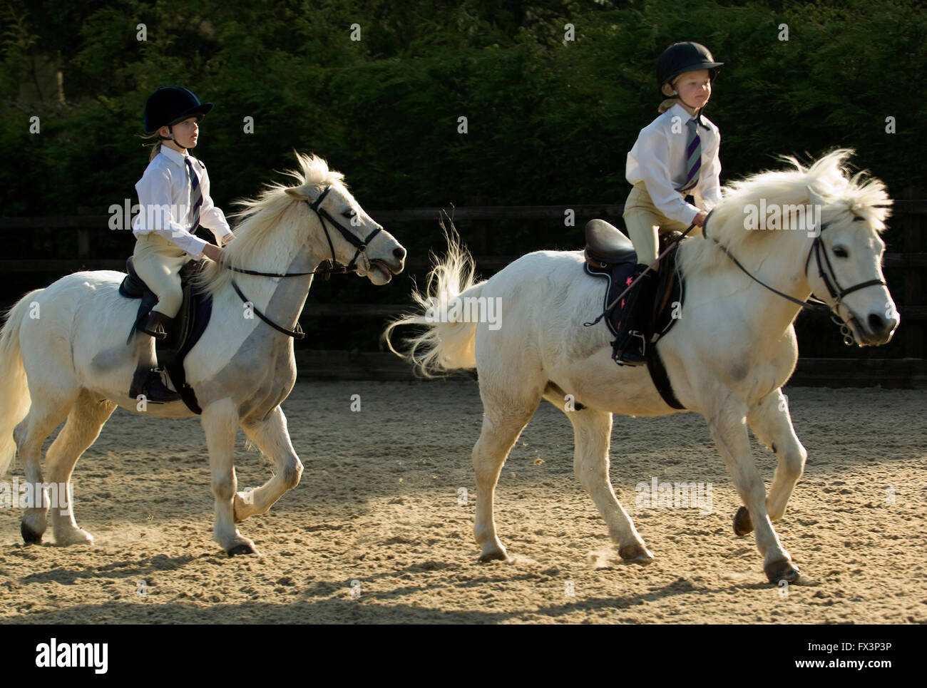 Pony Club meeting in Devonshire with help from olympic equestrian Mary King,where young girls practice show jumping and dressage. Stock Photo