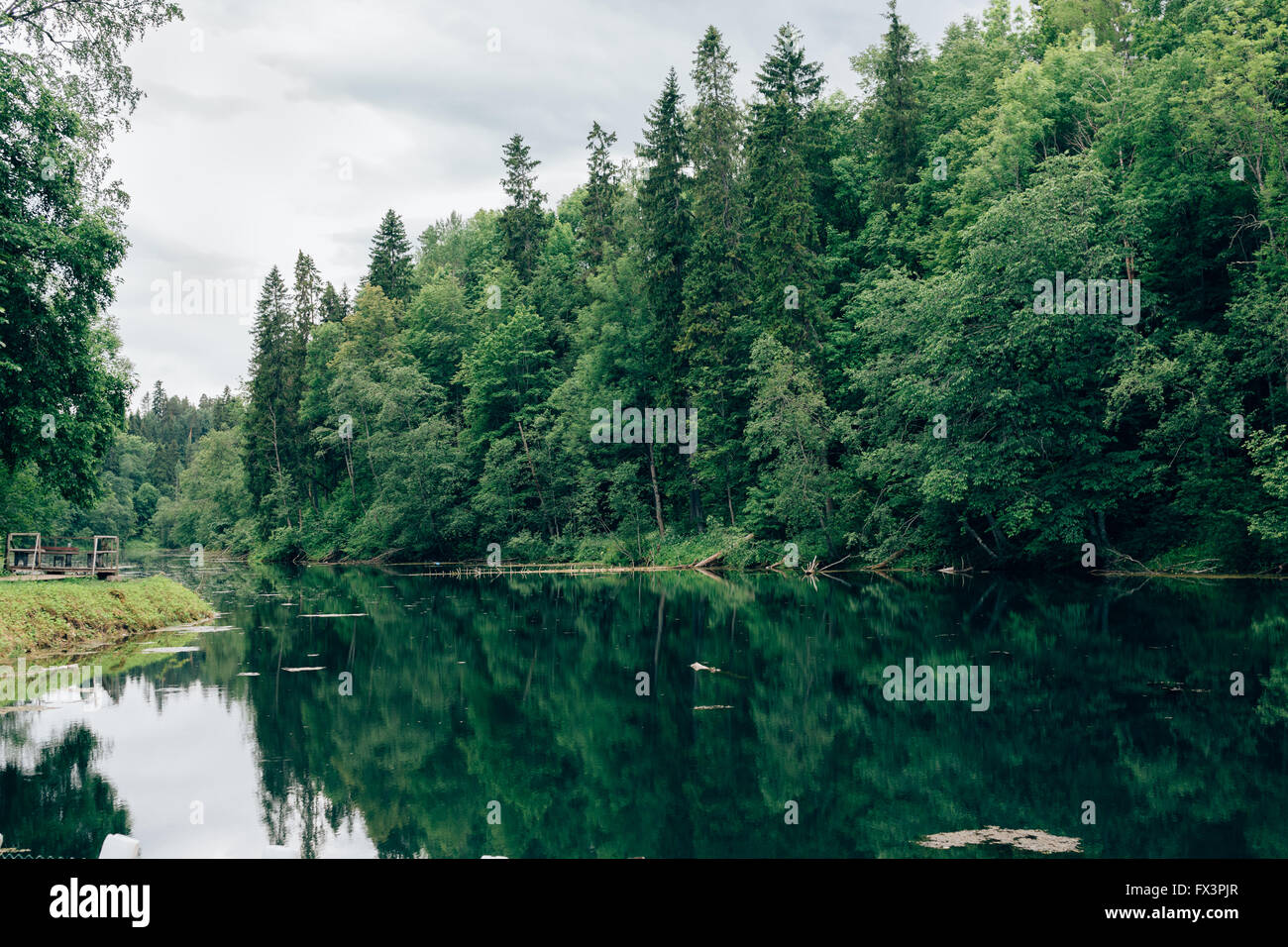 Beautiful landscape with a lake and a green forest. Stock Photo
