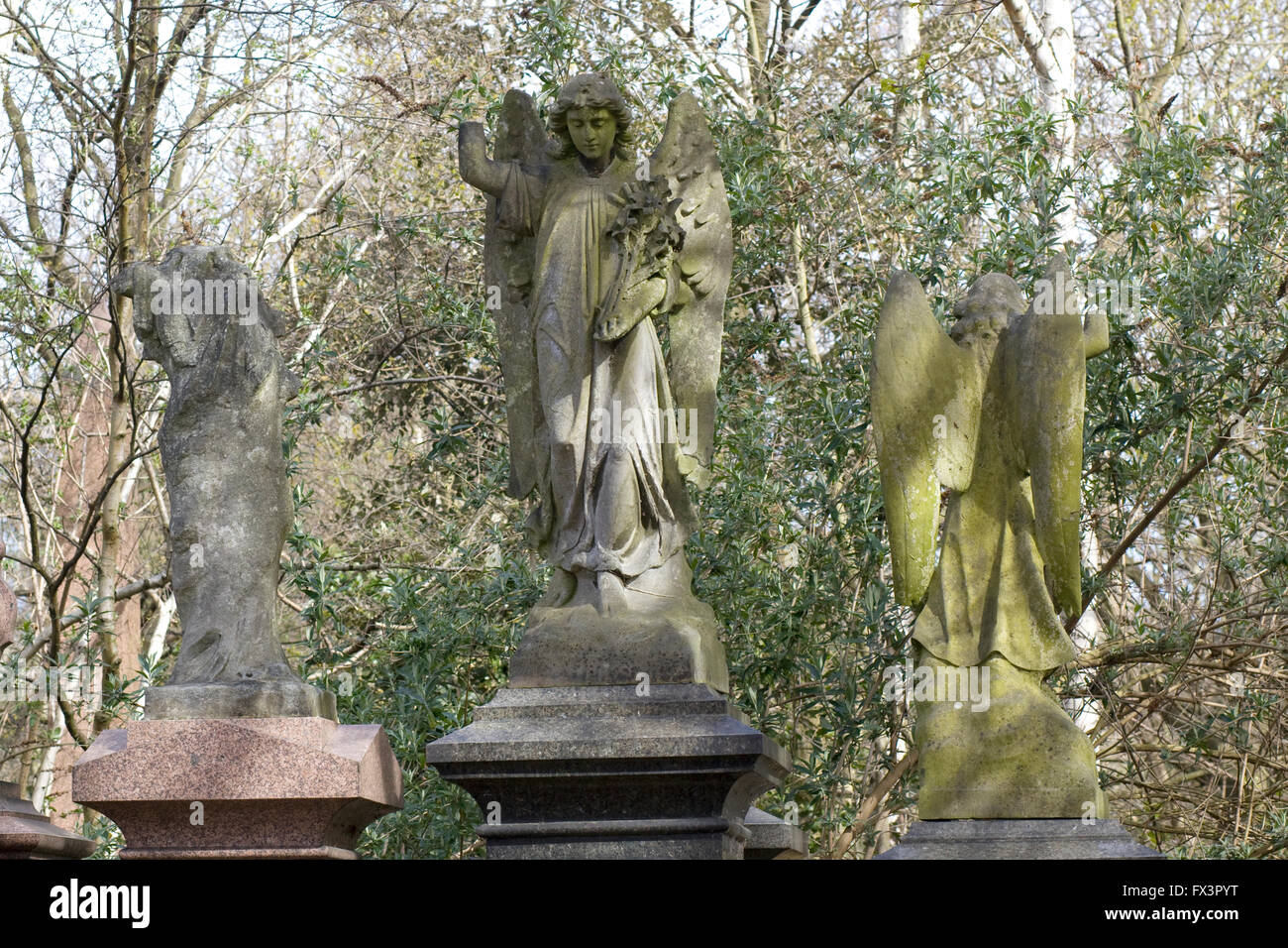 Weeping Angel statues in an old graves and headstones in an Ancient