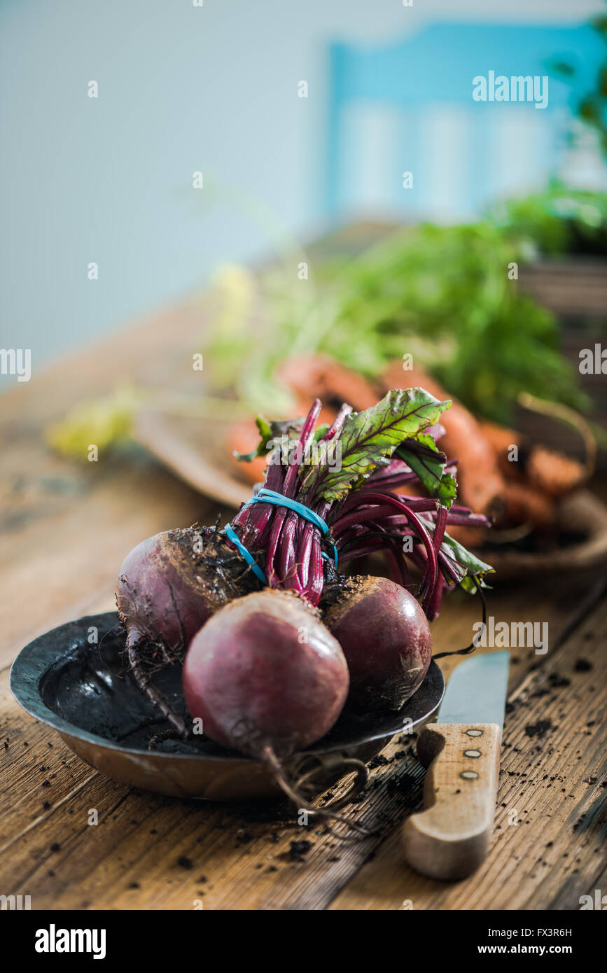 Table Beetroot Fresh whole beetroot from garden soil, on wooden farmhouse table in ...