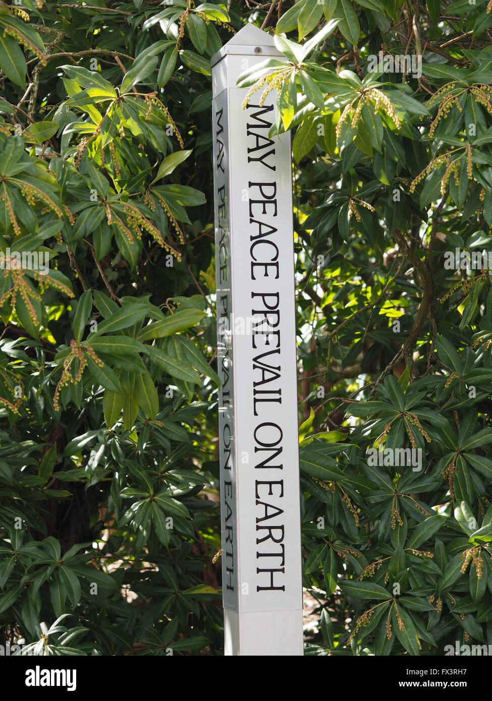 Edinburgh, Kenwood House, Hampstead, West Hampstead, Park, parks, peace, earth, prevail Stock Photo