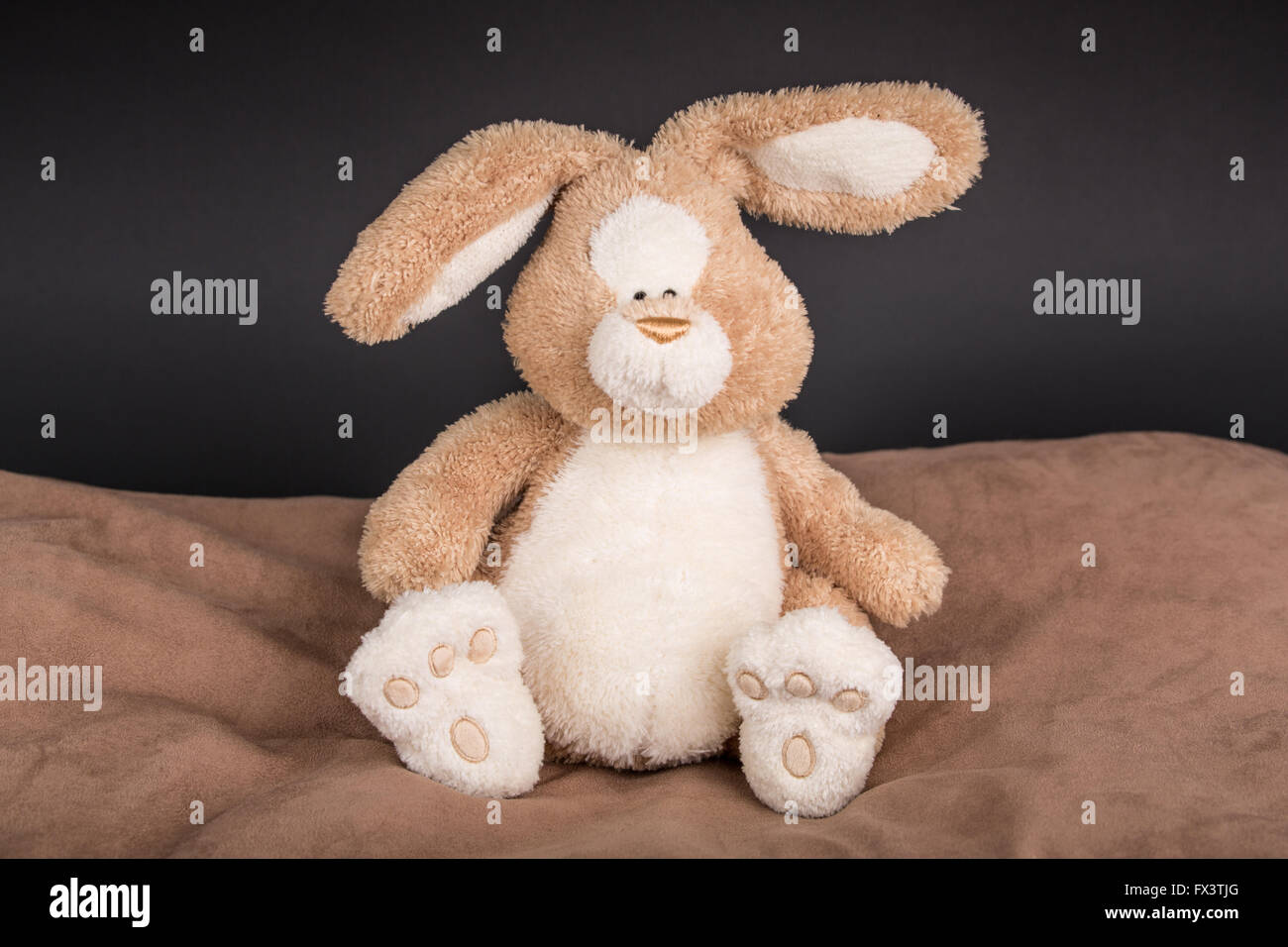 Stuffed toy rabbit resting on brown pillow Stock Photo