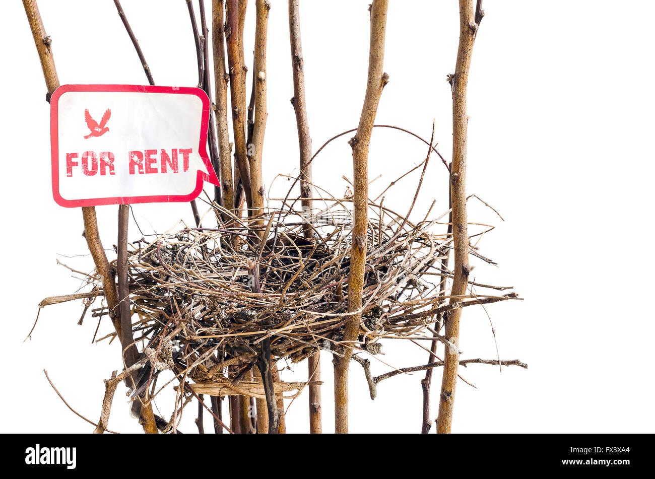 bird nest isolated on white background Stock Photo - Alamy