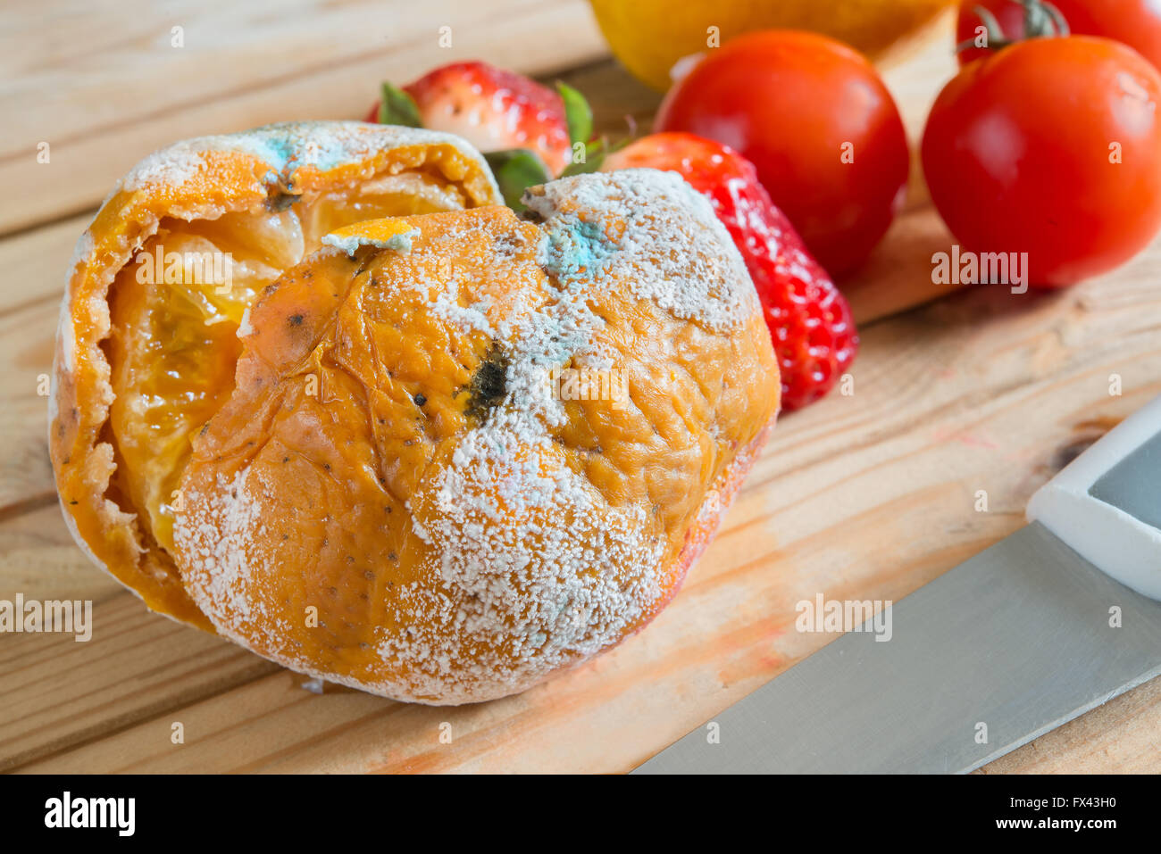 mandarin with mold on the wooden table Stock Photo