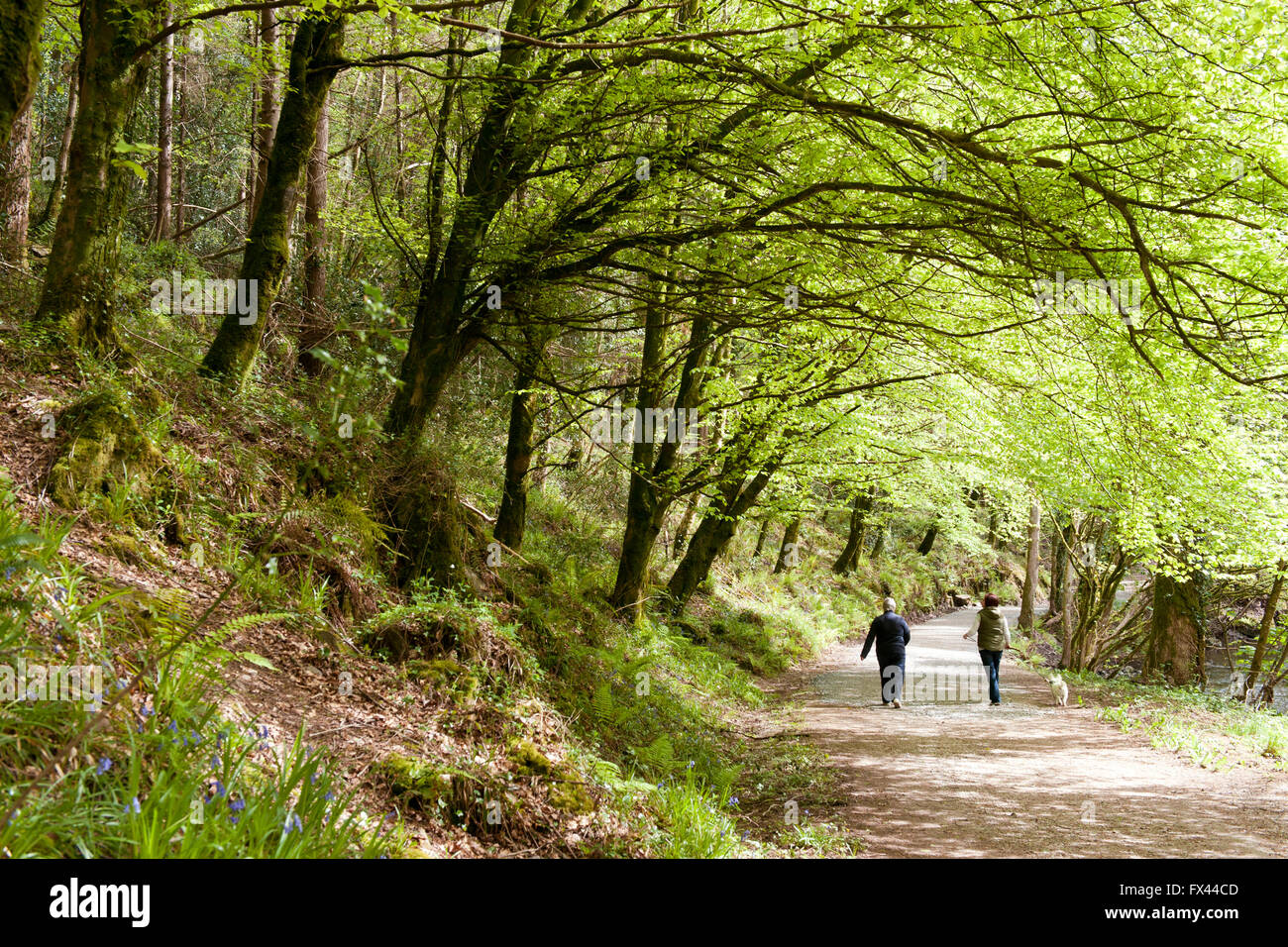 Ireland Walkers High Resolution Stock Photography and Images Alamy