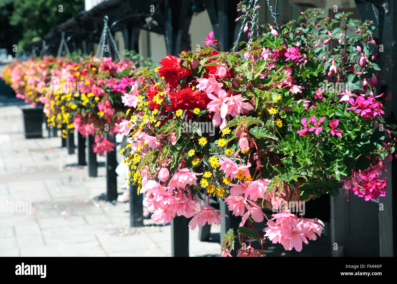 Flower baskets outside English Pub Stock Photo