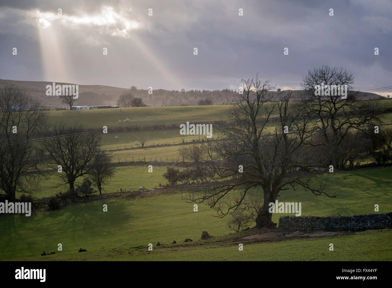 Welsh Farmland near Merthyr Tydfil, Brecon Beacons National Park, Wales, UK Stock Photo Alamy