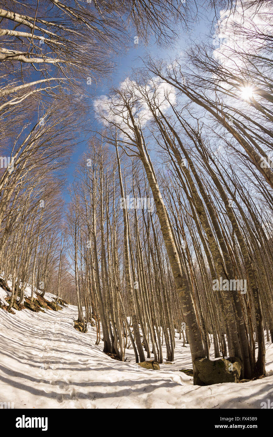 Snow distortion hi-res stock photography and images - Alamy