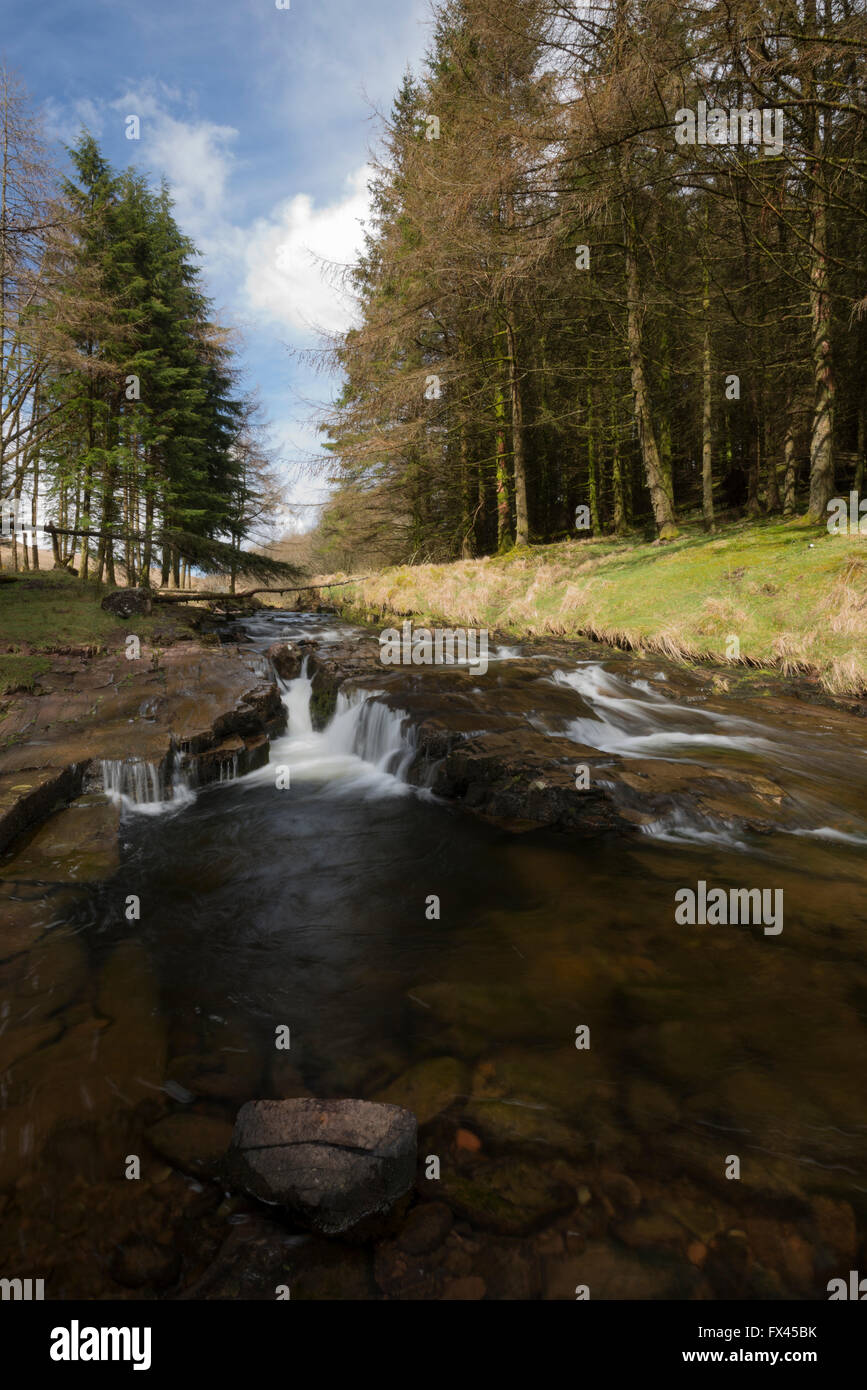 Blean Llia, the stream, Breacon Beacons National Park, Wales, UK Stock Photo
