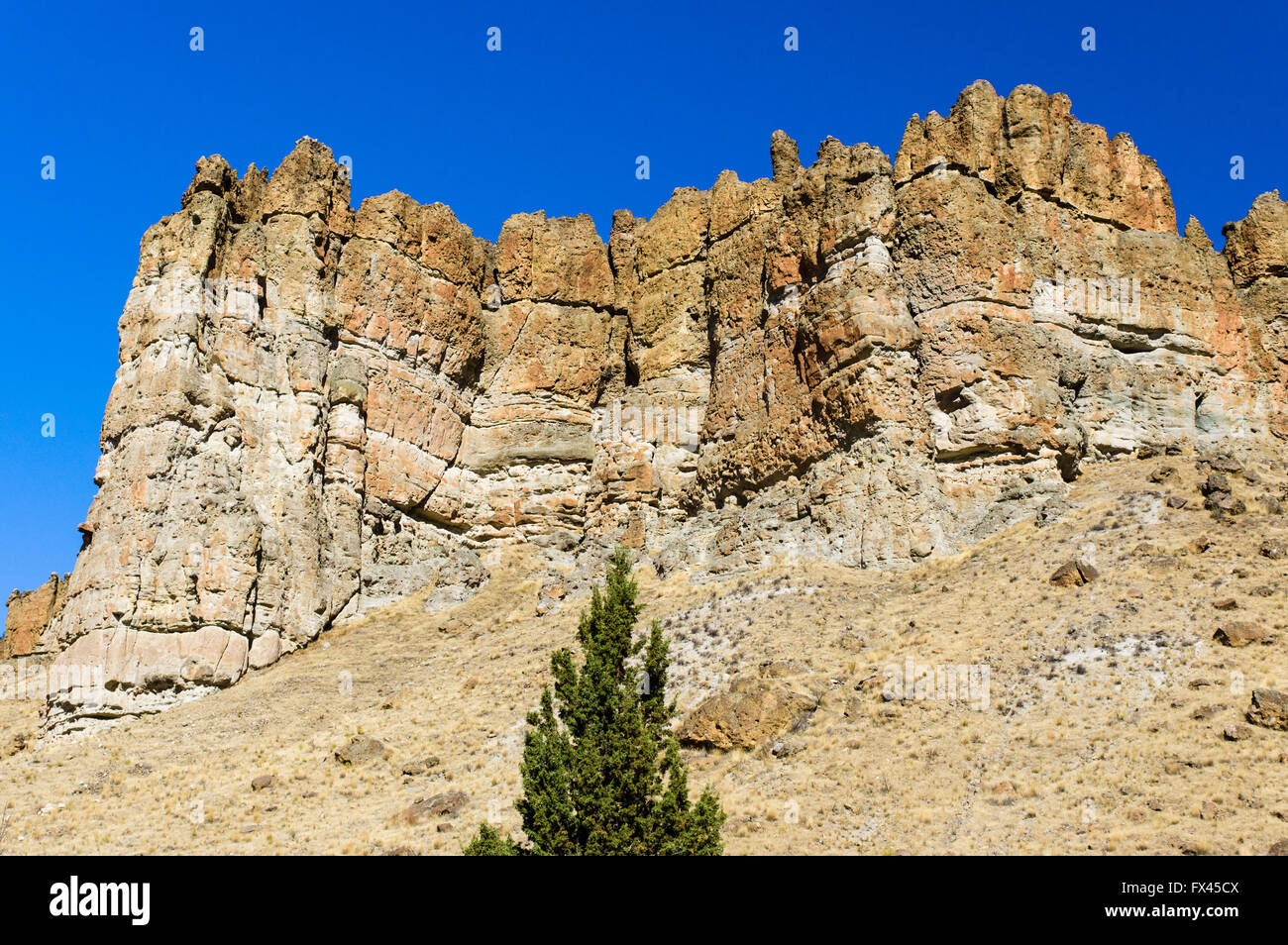 The Palisades rock formation is part of the John Day Fossil Beds National Monument. Fossil