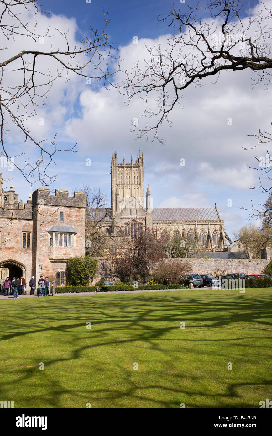 The Bishops Palace and cathedral. Wells, Somerset, England Stock Photo