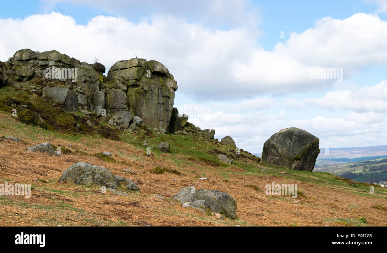 Cow and Calf rock feature in Ilkley Moor, West Yorkshire, UK. Stock Photo