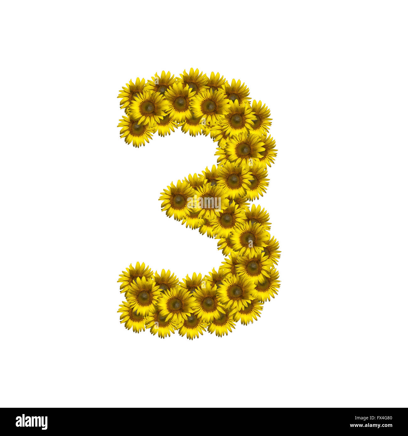 Sunflower number isolated on white background, number 3 Stock Photo