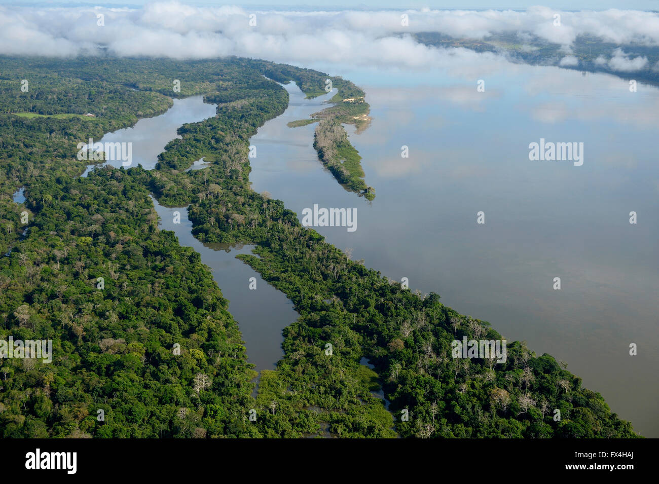Aerial view, river Rio Tapajos by the Amazon rainforest, Itaituba, Pará state, Brazil Stock Photo