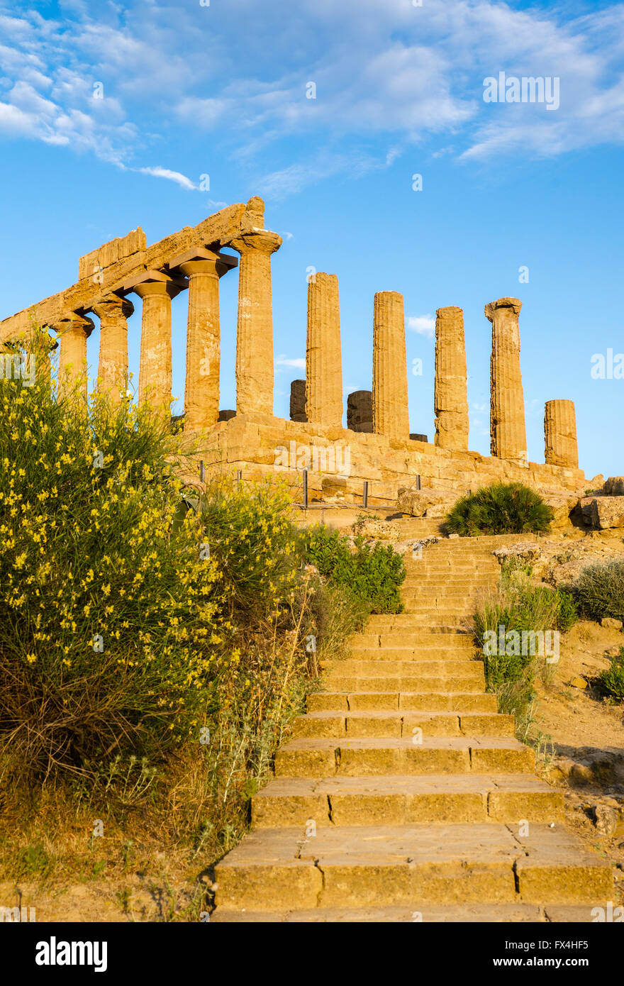 Temple of Juno or Juno Lacinia temple, Tempio Giunone, antiquity, Valley of the Temples, Valle dei Templi, Agrigento, Sicily Stock Photo
