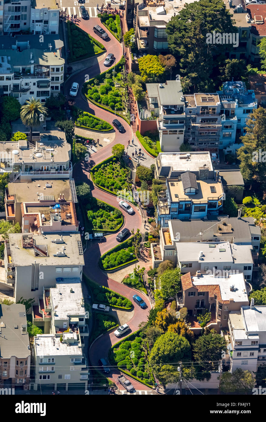 Aerial view, Lombard Street, winding road, curve road, streets of San Francisco, tourist
