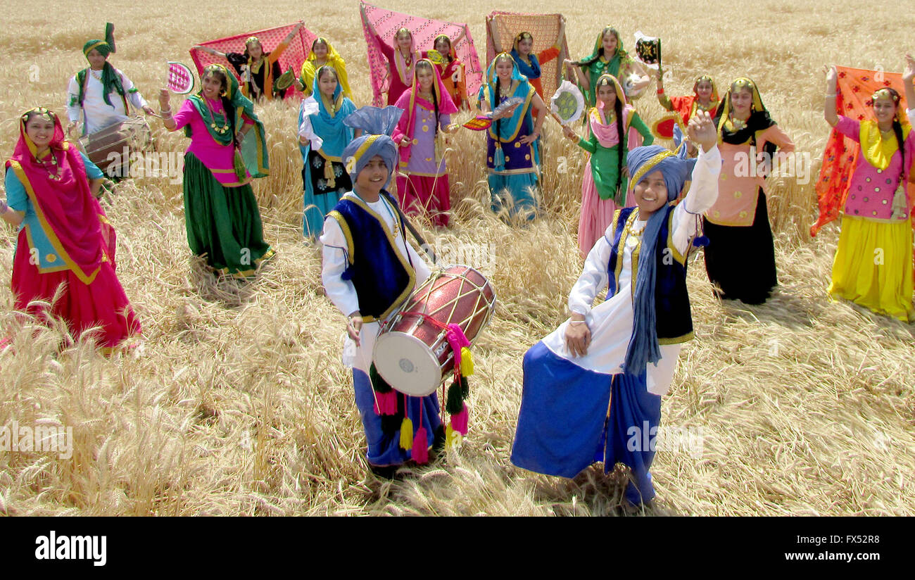 Artists perform the 'Bhangra', a Punjabi folk dance in a filed of wheat at village Reethkheri, Sirhind road. Baisakhi is the festival of the first harvest of the year right after the winter season in the north of India. Stock Photo