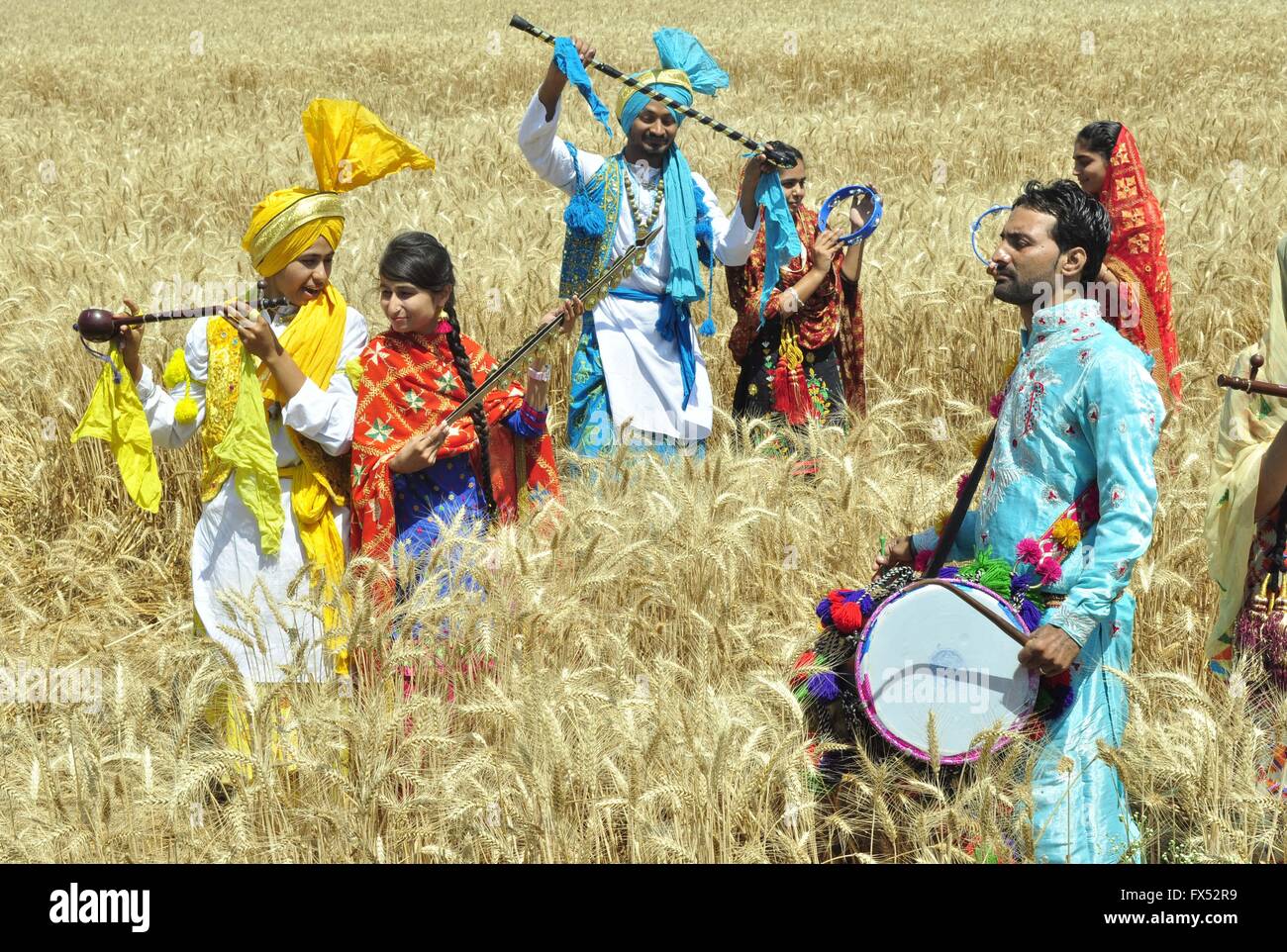 Patiala, India. 12th Apr, 2016. College students perform the 'Bhangra', a Punjabi folk dance, in a filed of Wheat on the eve of Vaisakhi at village Baran, Sirhind road. Vaisakhi is the festival of the first harvest of the year right after the winter season. Credit:  Rajesh Sachar/Pacific Press/Alamy Live News Stock Photo