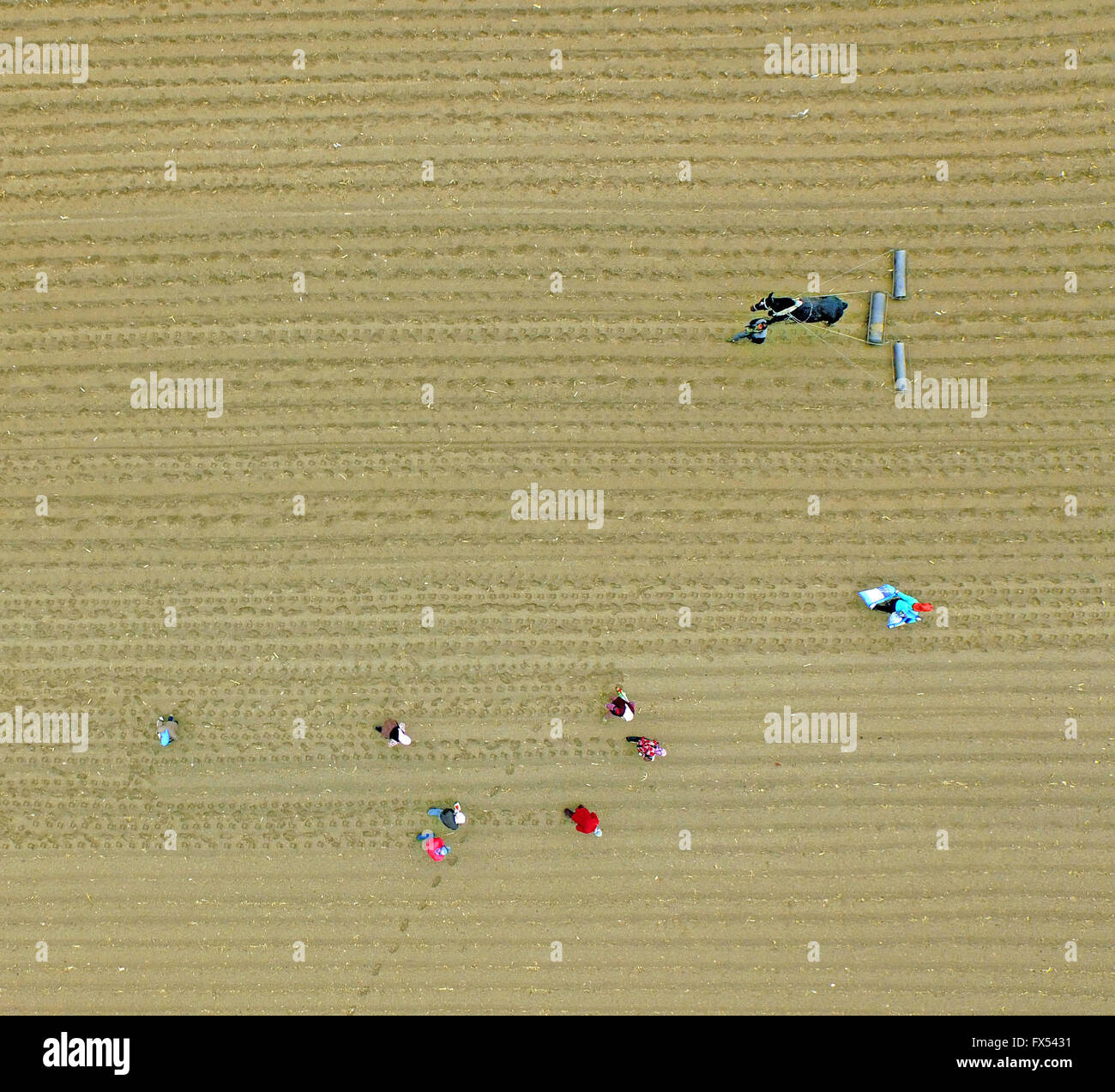 Liaozhong hires stock photography and images Alamy