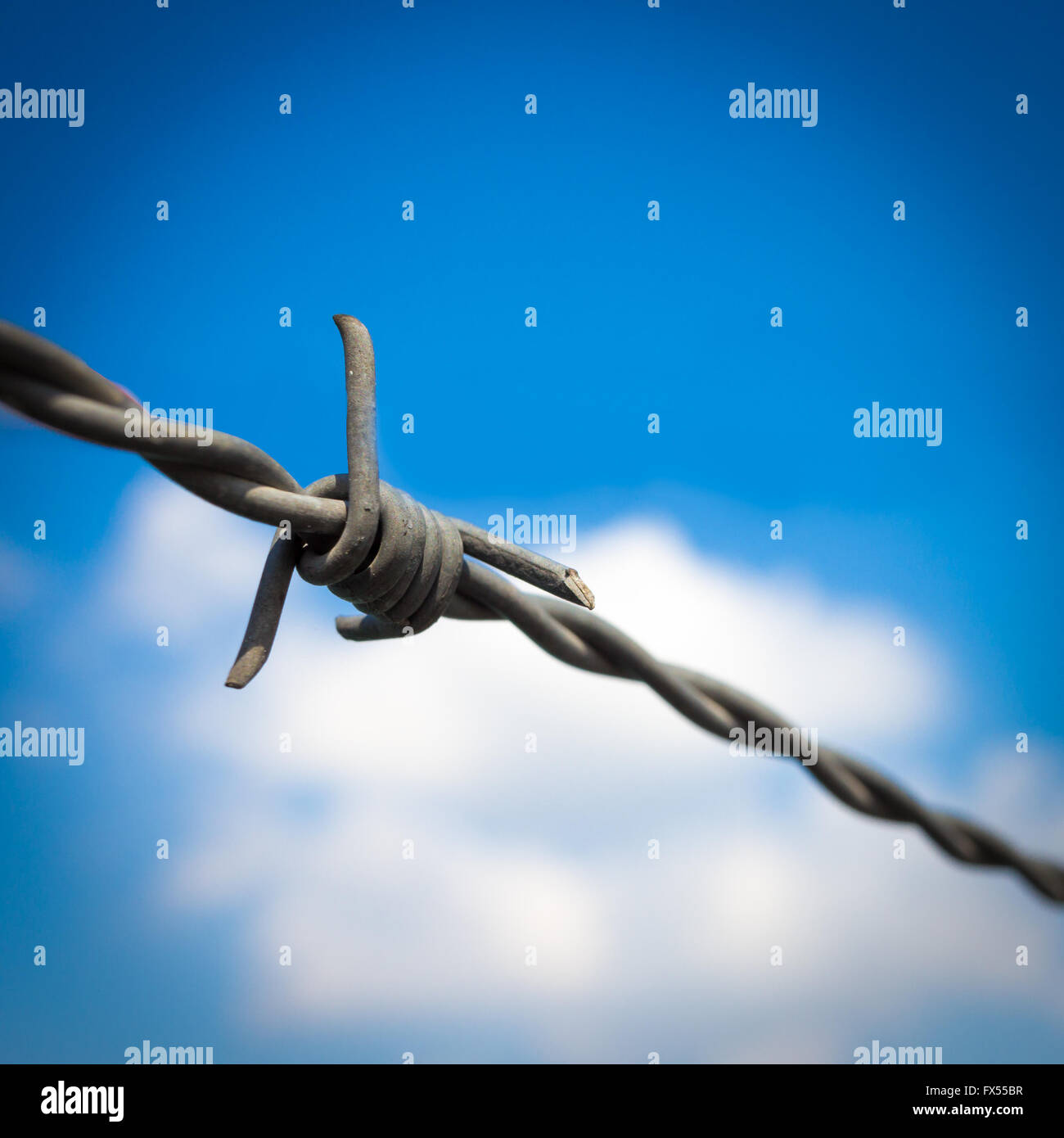 Barbed wire against blue sky Stock Photo