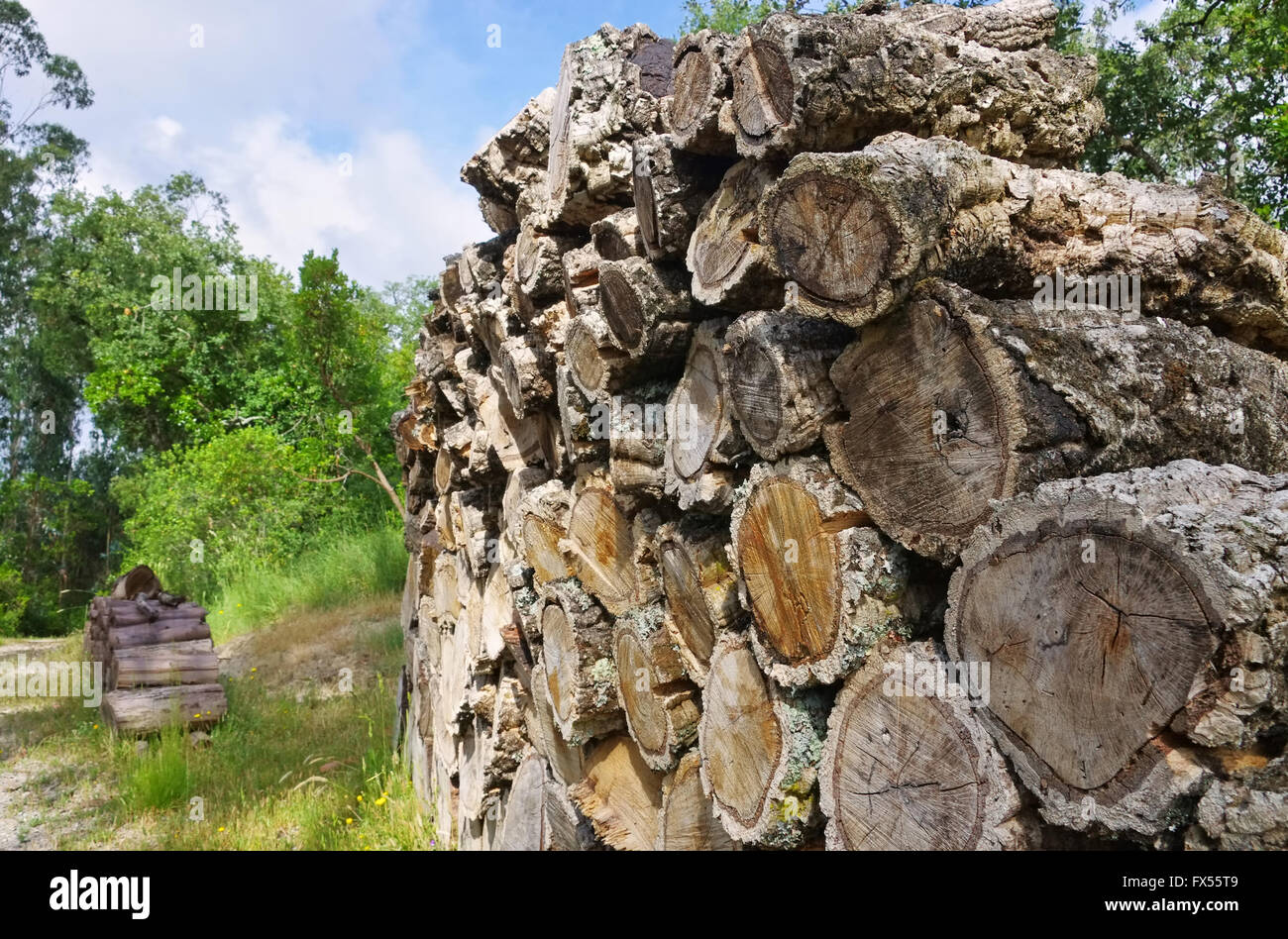 Holzstapel Korkeiche - stack of wood from cork oak 06 Stock Photo