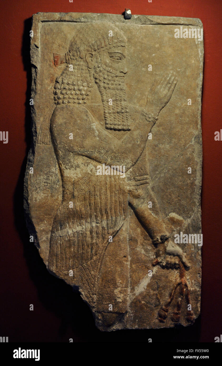 Priest holding a sprout. Relief from the Palace of sargon II at Dur-Sharrukin( Khorsabad, Iraq). Limestone. 8th century BC. The state Hermitage Museum. Saint Petersburg. Russia. Stock Photo